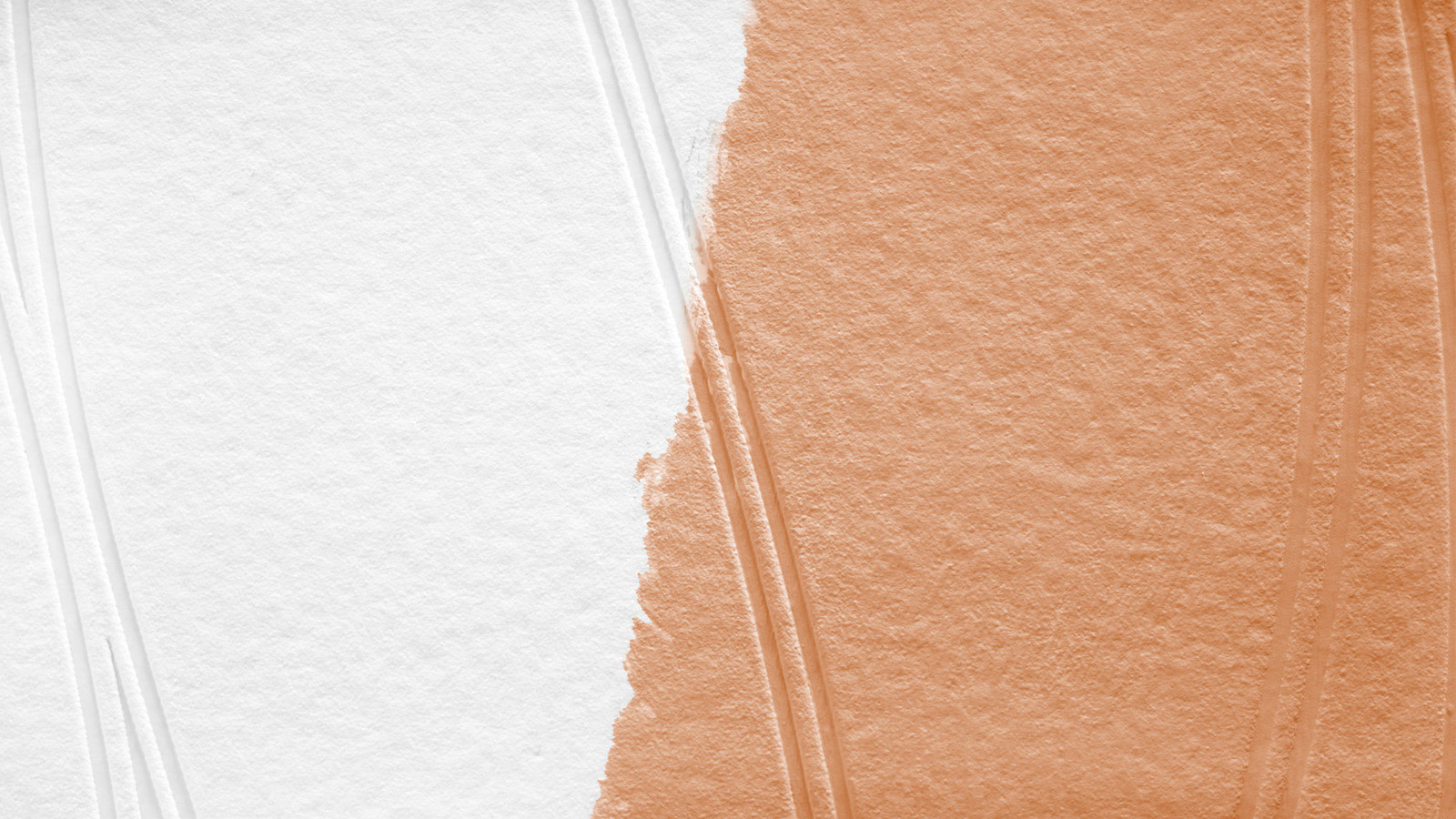 AS Vliestapete Meistervlies 8 überstreichbar 244918