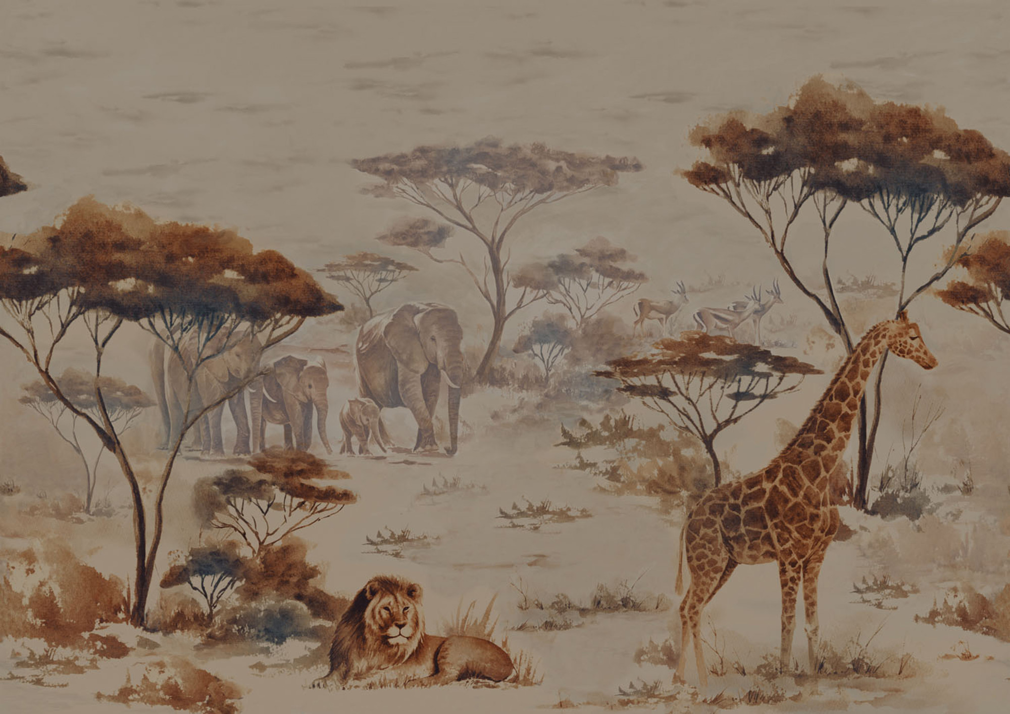 Rasch Wandbild Fototapete African Queen 3 Zebra 363685