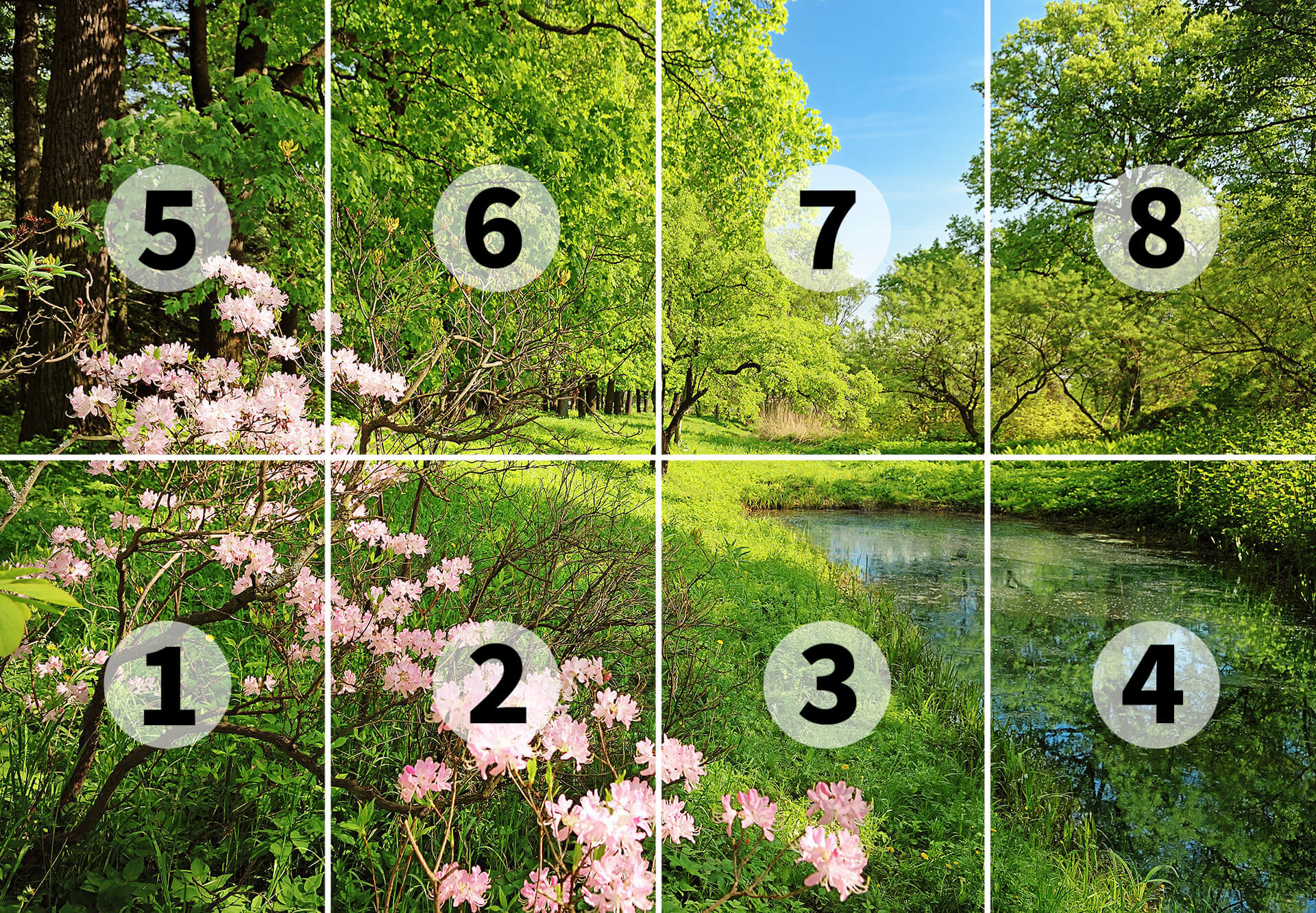 AS Fototapete Designwalls 2.0 Spring DD118861