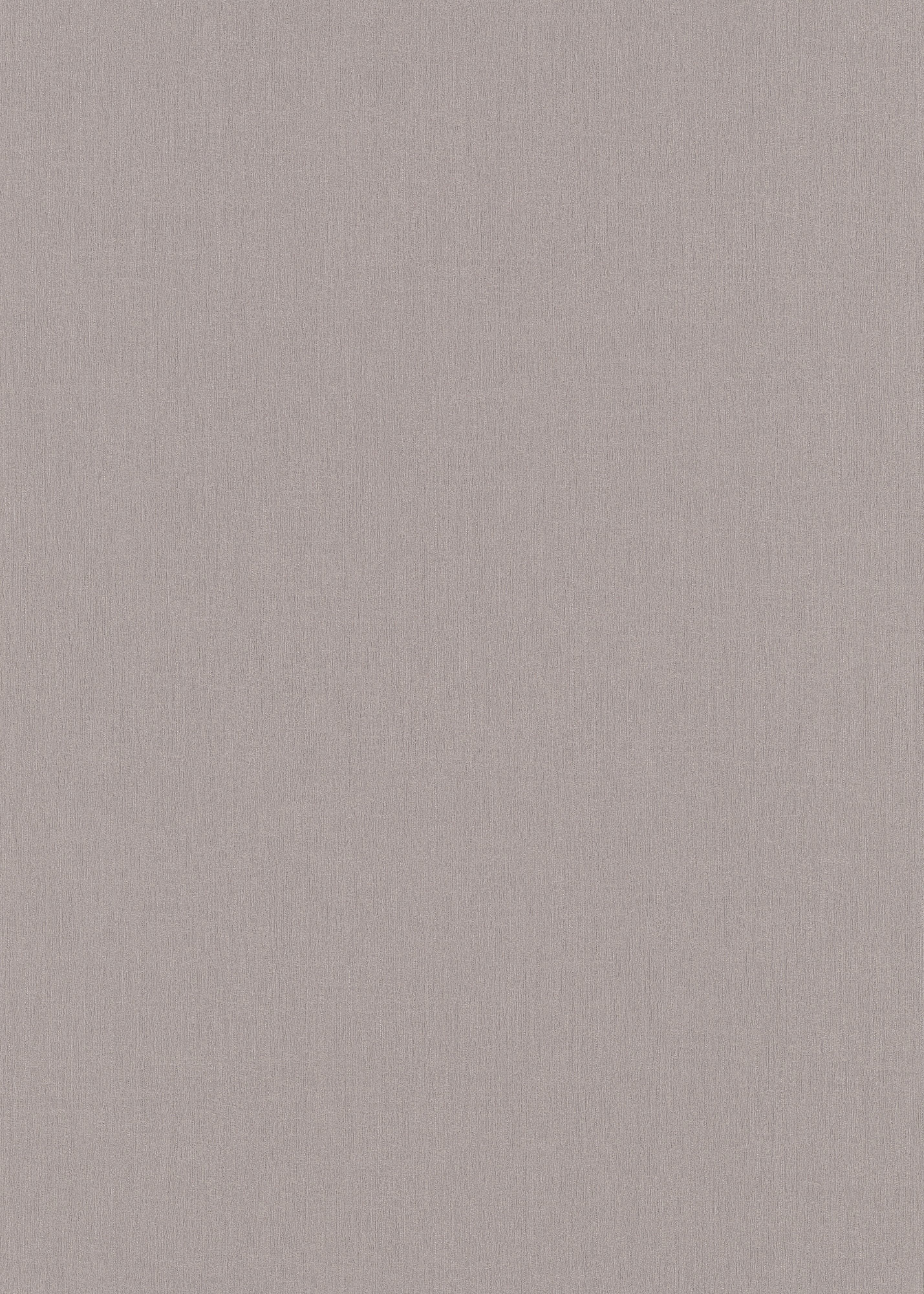Erismann Vliestapete Spotlight 2 taupe 1043737