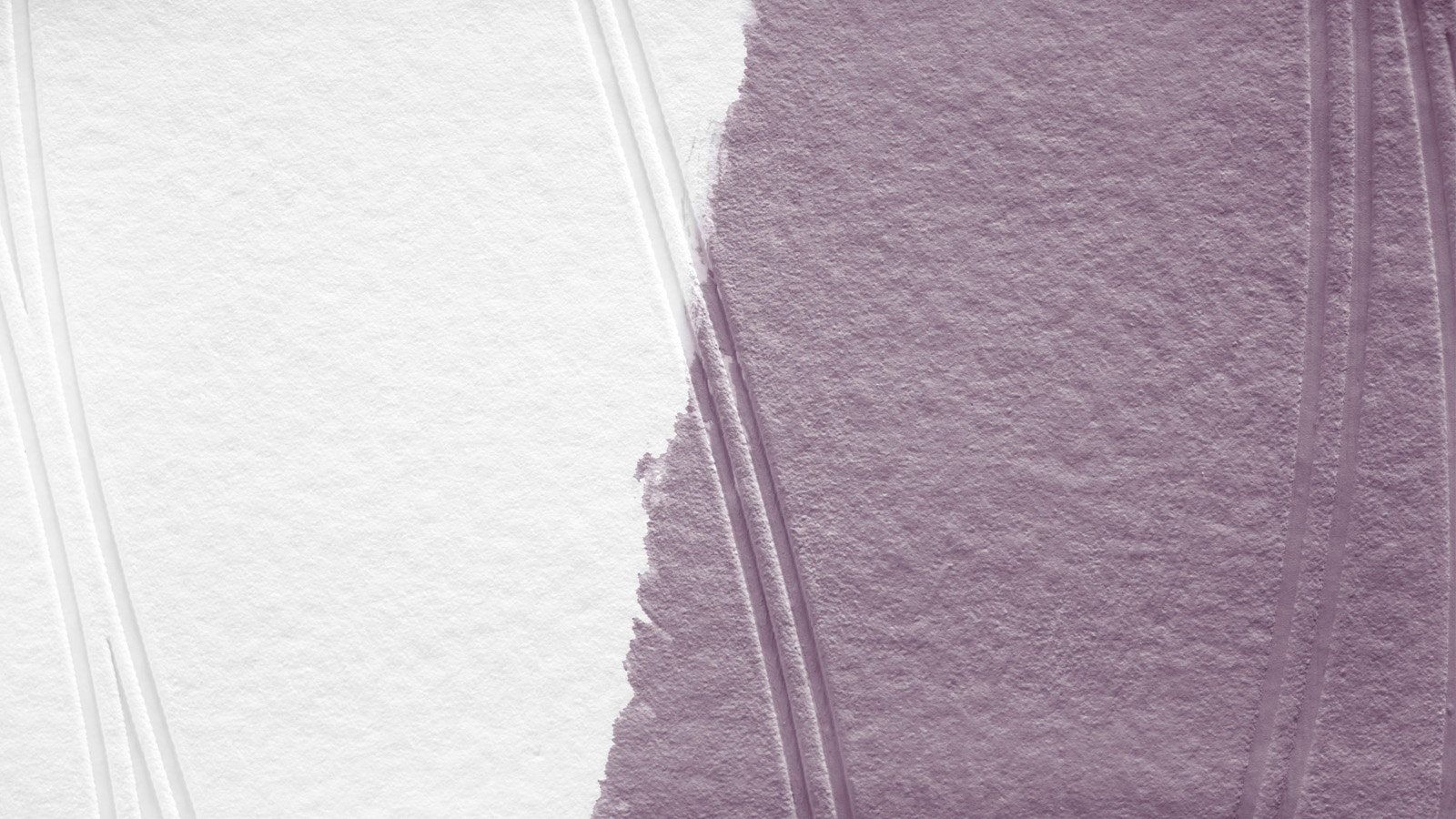 AS Vliestapete Meistervlies 8 überstreichbar 245014