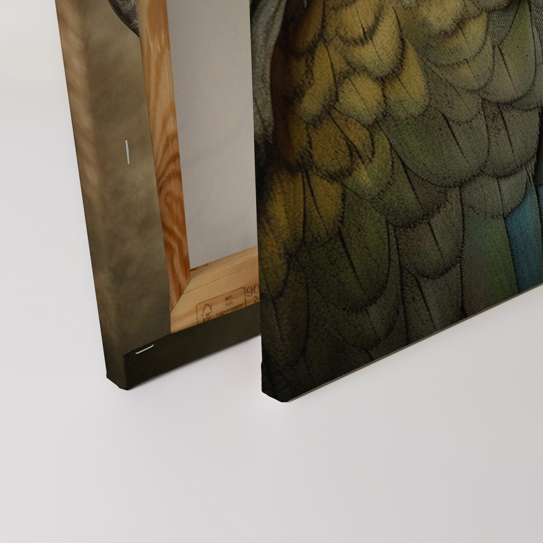 AS Leinwandbild Fantasy Parrot Orange DD133347