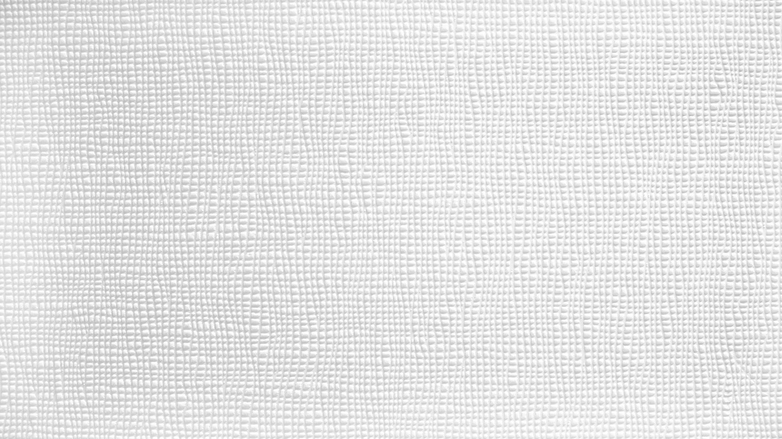 AS Vliestapete Meistervlies 8 überstreichbar 246110