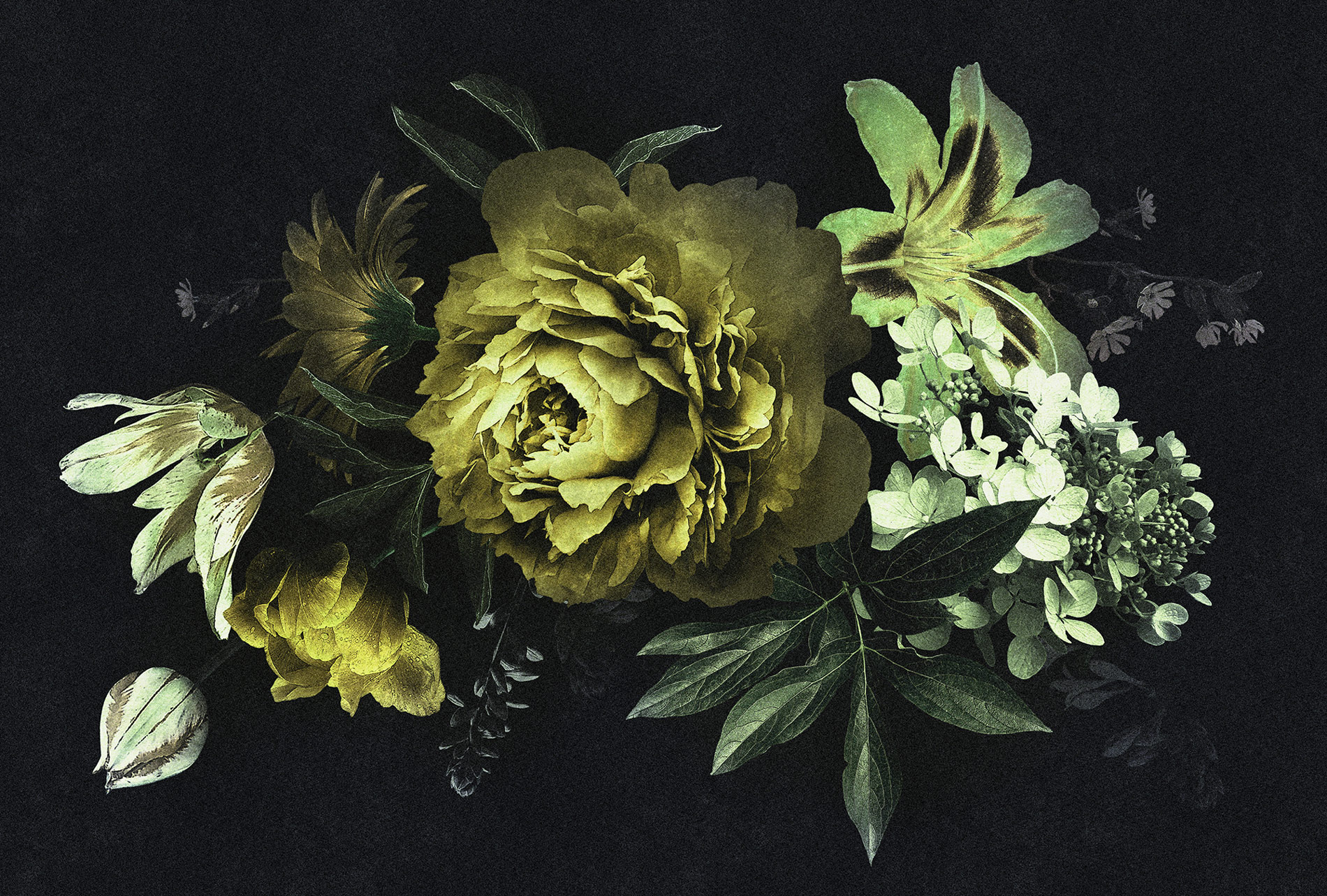 AS Fototapete Walls by Patel 2 Blumen DD114167