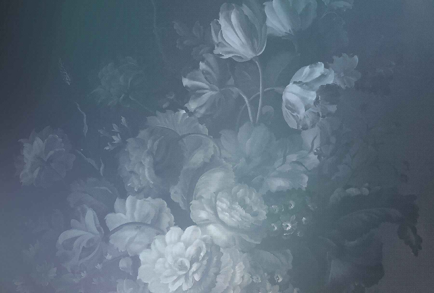 AS Fototapete Walls by Patel 2 Blumen DD114177