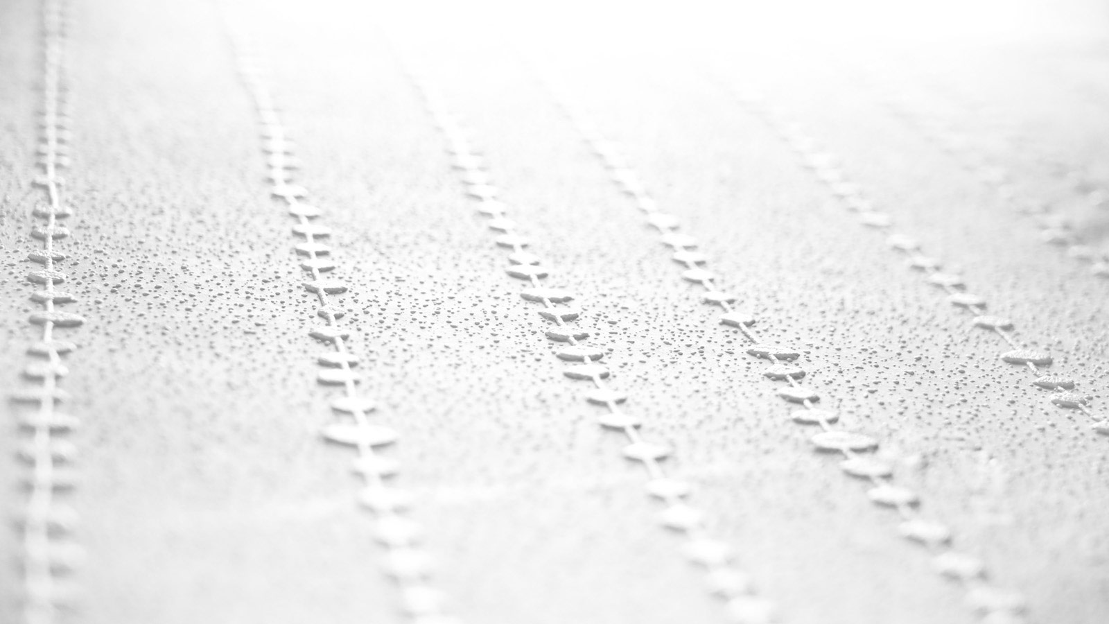 AS Vliestapete Meistervlies 8 überstreichbar 384701