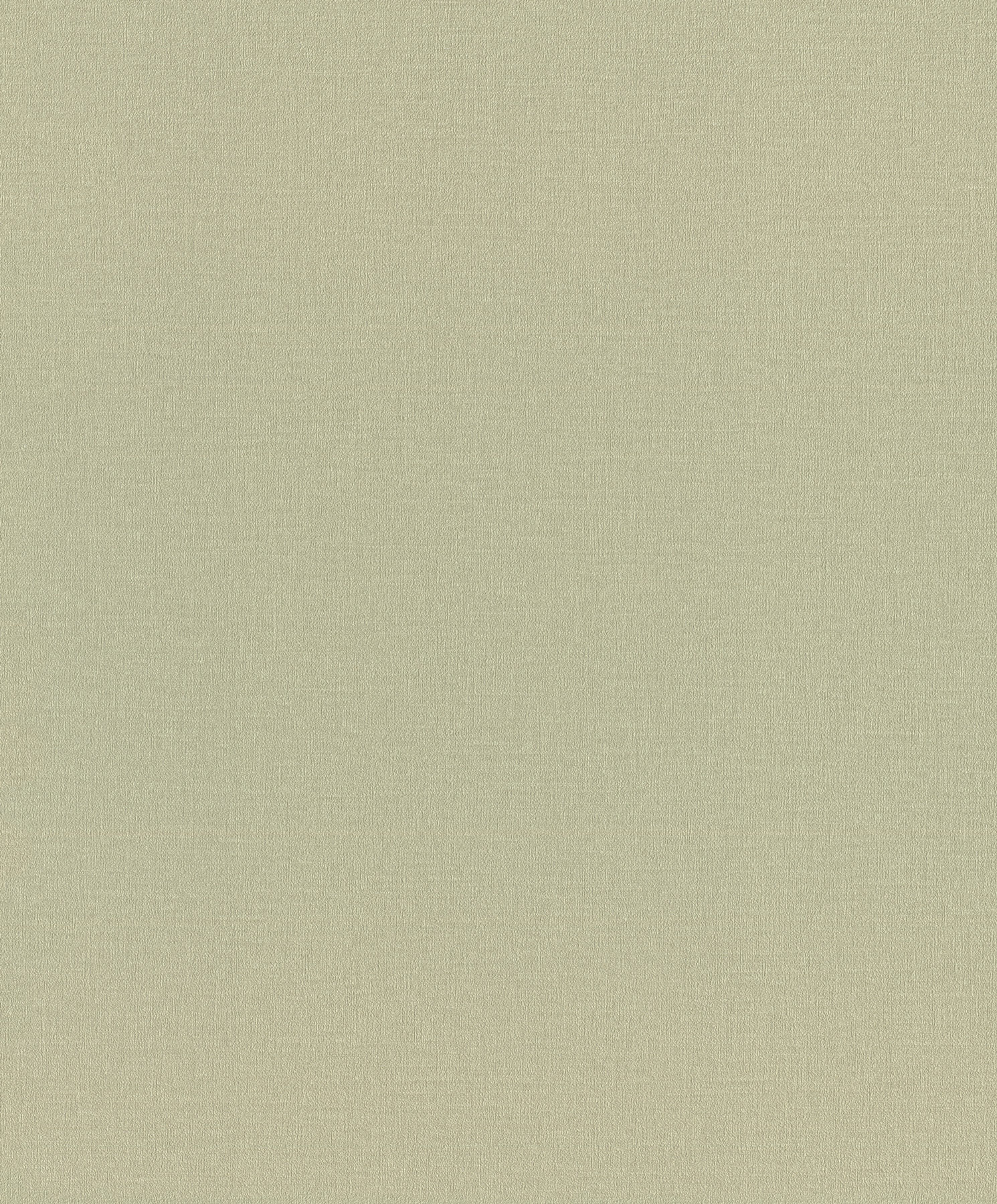 Rasch Vliestapete Liverna Grün 555998