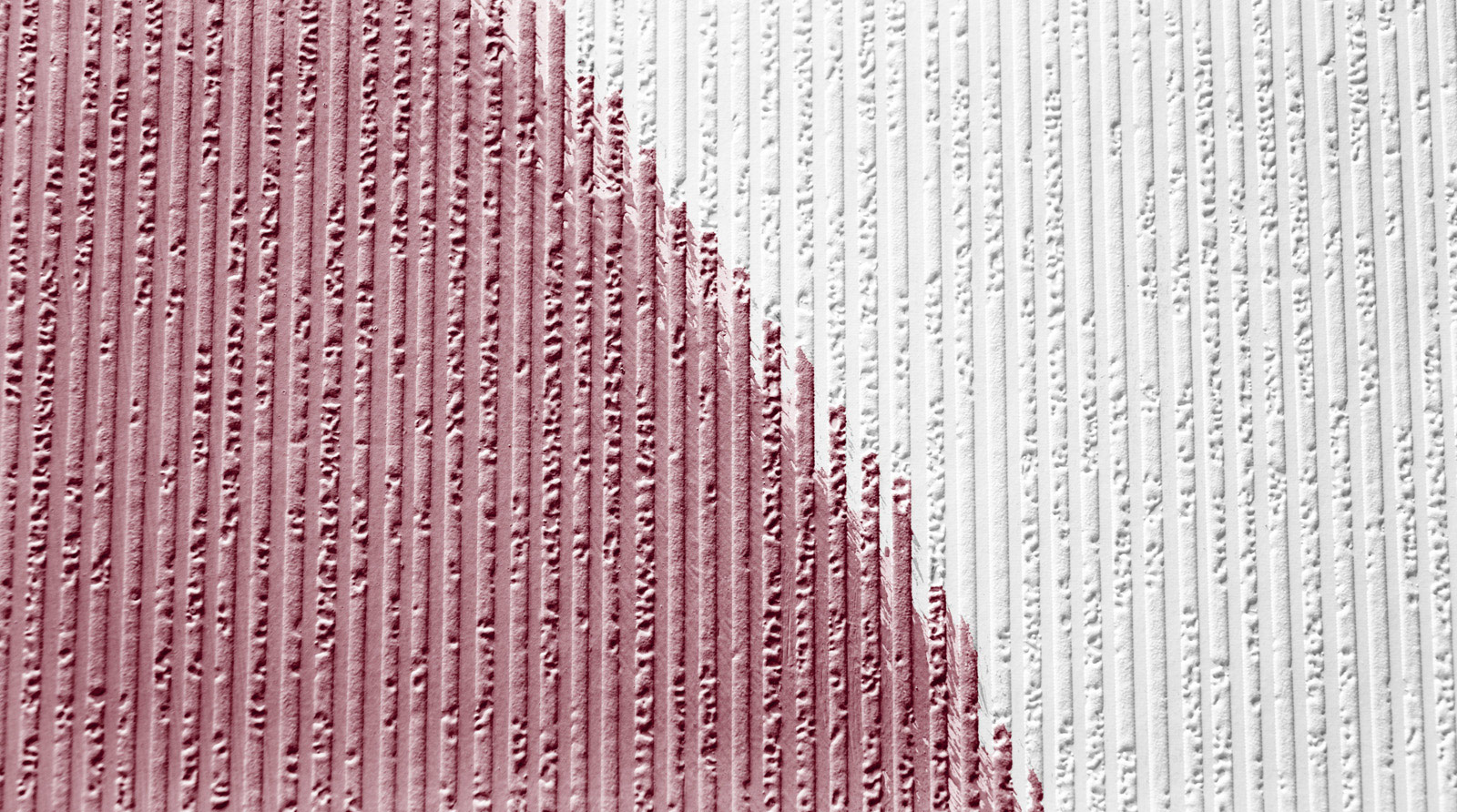 AS Vliestapete Meistervlies 8 überstreichbar 241511