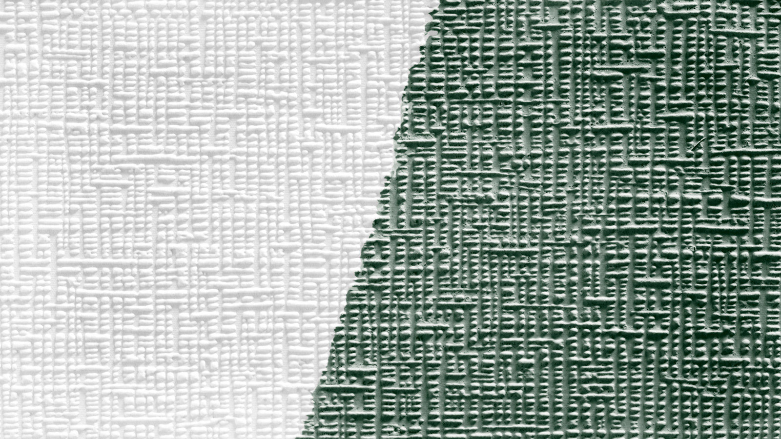 AS Vliestapete Meistervlies 8 überstreichbar 251312