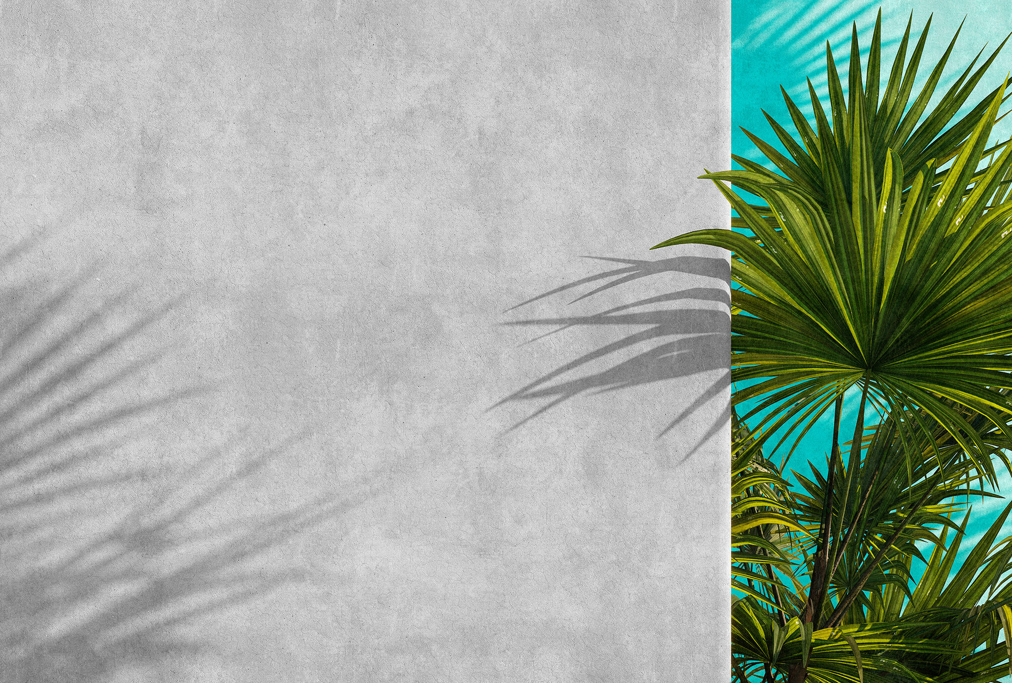 AS Fototapete Walls by Patel 3 Palmen DD122840