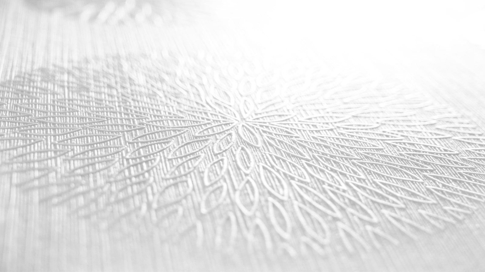 AS Vliestapete Meistervlies 8 überstreichbar 321301