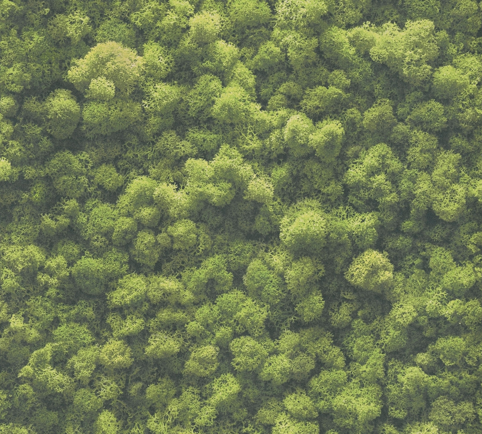 AS Vliestapete PintWalls II Mooswand Grün 394051