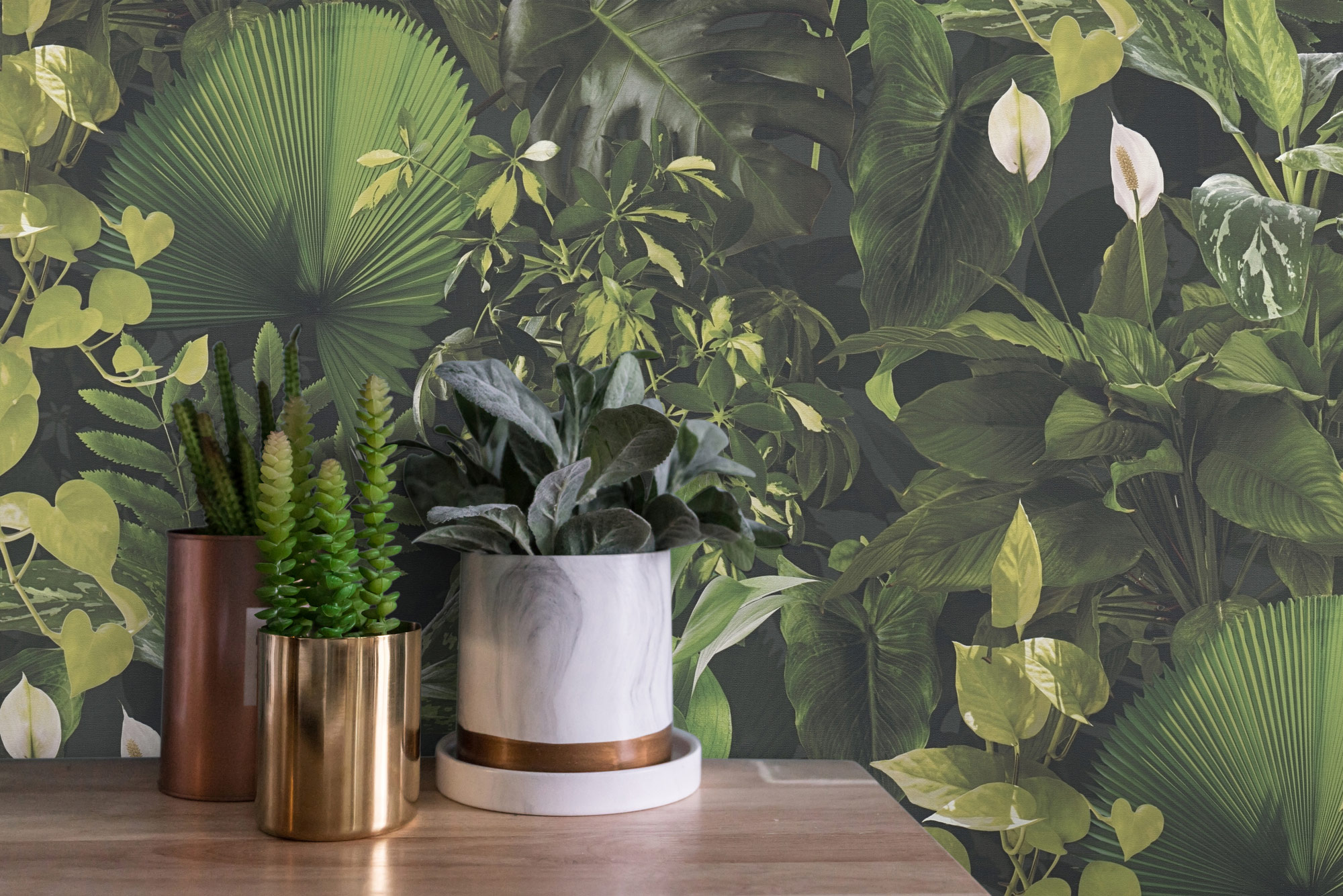 AS Vliestapete PintWalls II Pflanzen Grün Dschungel 396981
