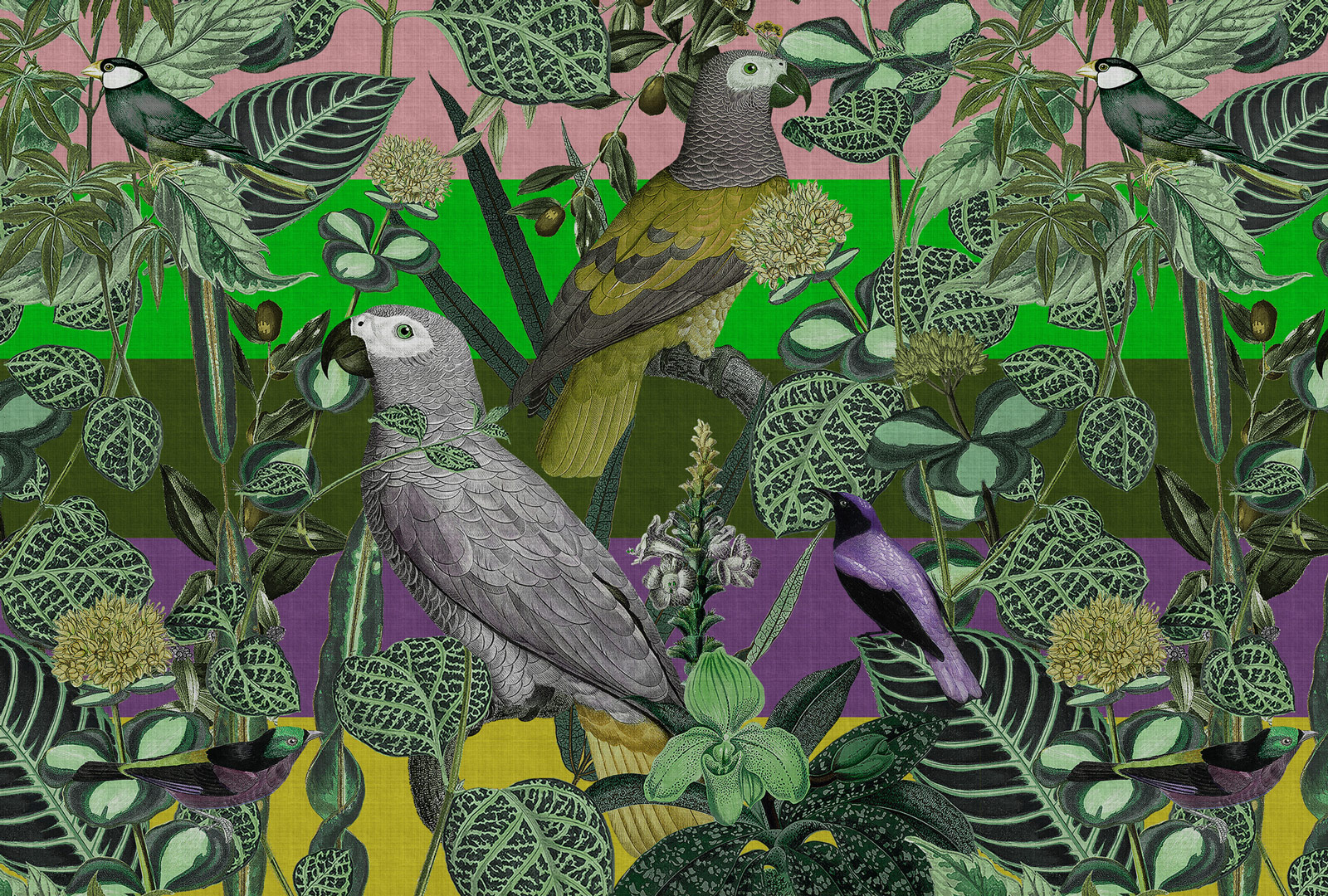 AS Fototapete Walls by Patel 4 amazona 2 Bunt DD127949