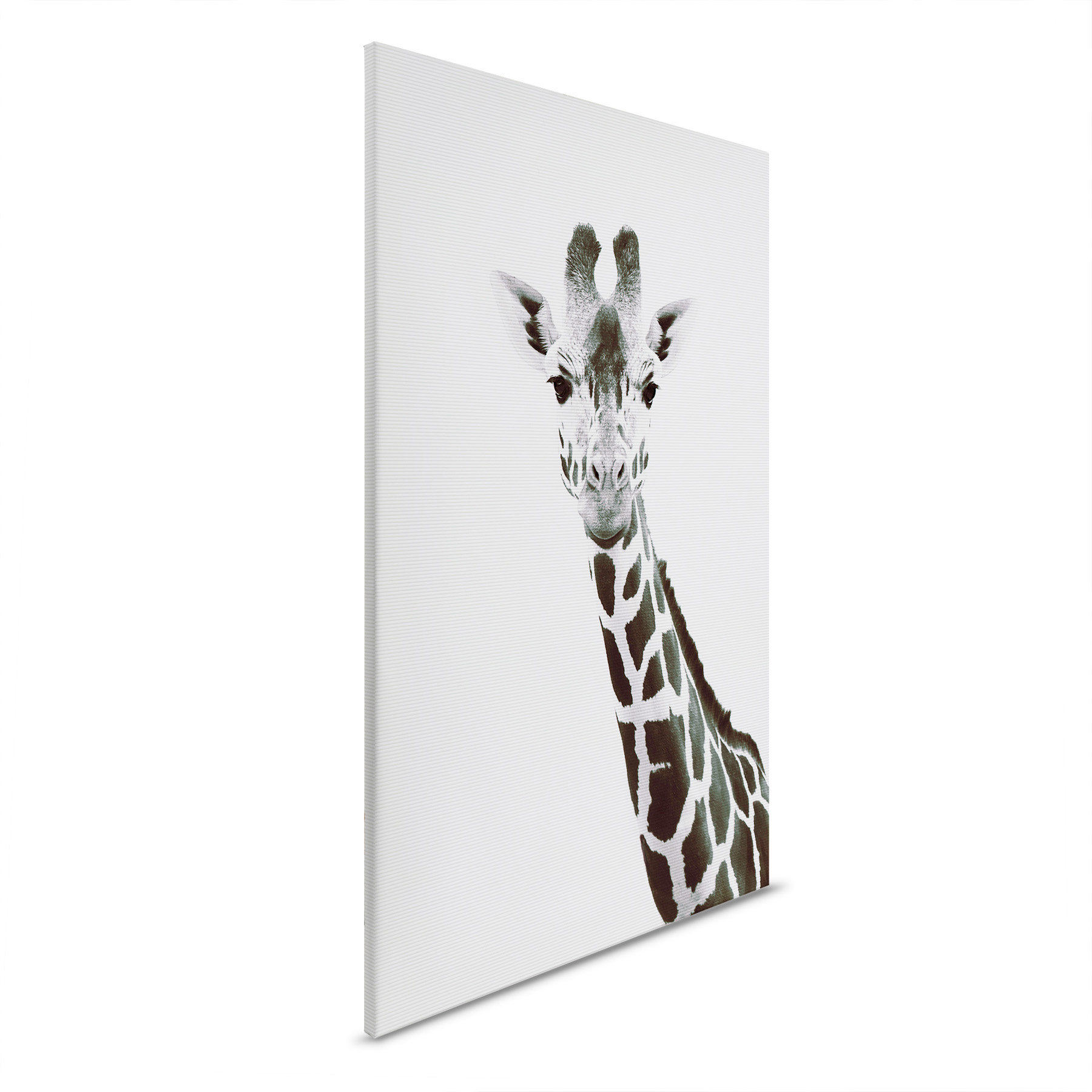AS Leinwandbild Giraffe Portrait DD132223