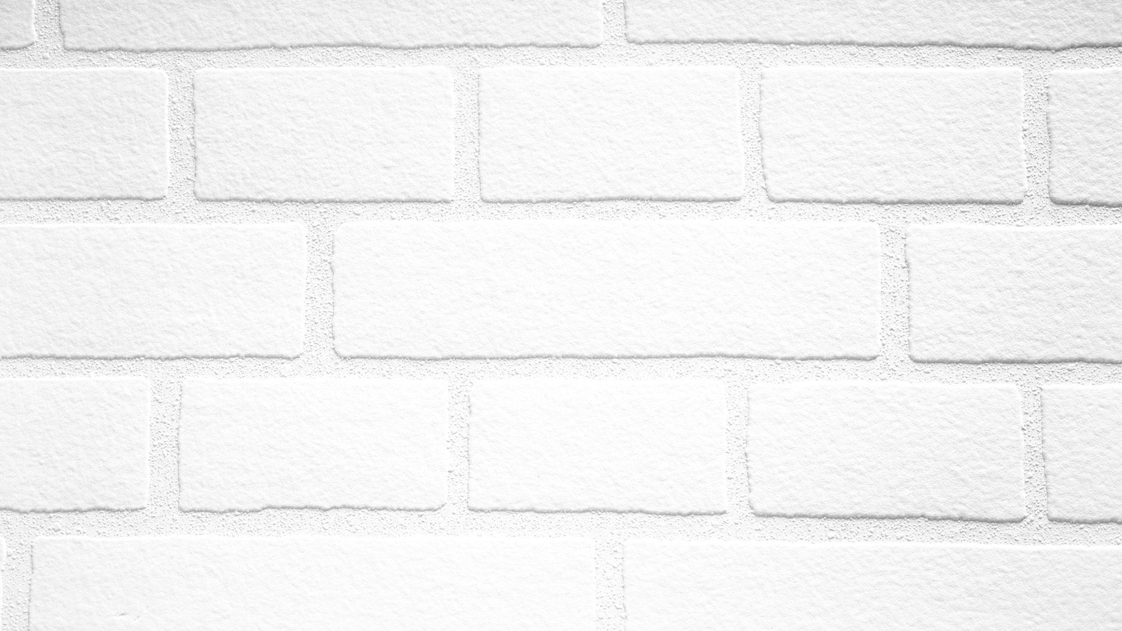 AS Vliestapete Meistervlies 8 überstreichbar 245410