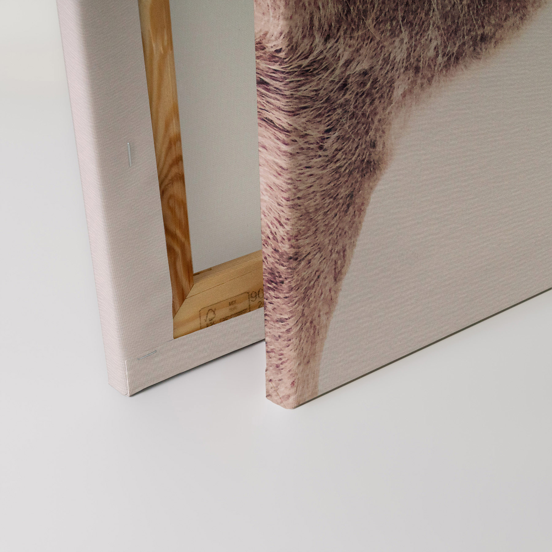 AS Leinwandbild Deer Rose DD132253