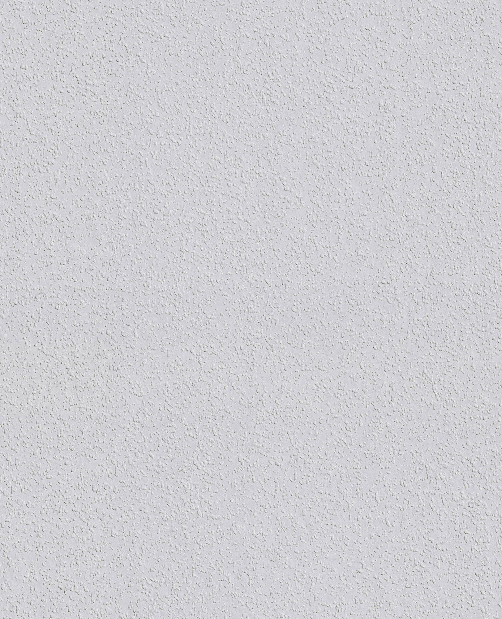 Erfurt Rauhfaser-Tapete Avantgarde | Einzelrolle