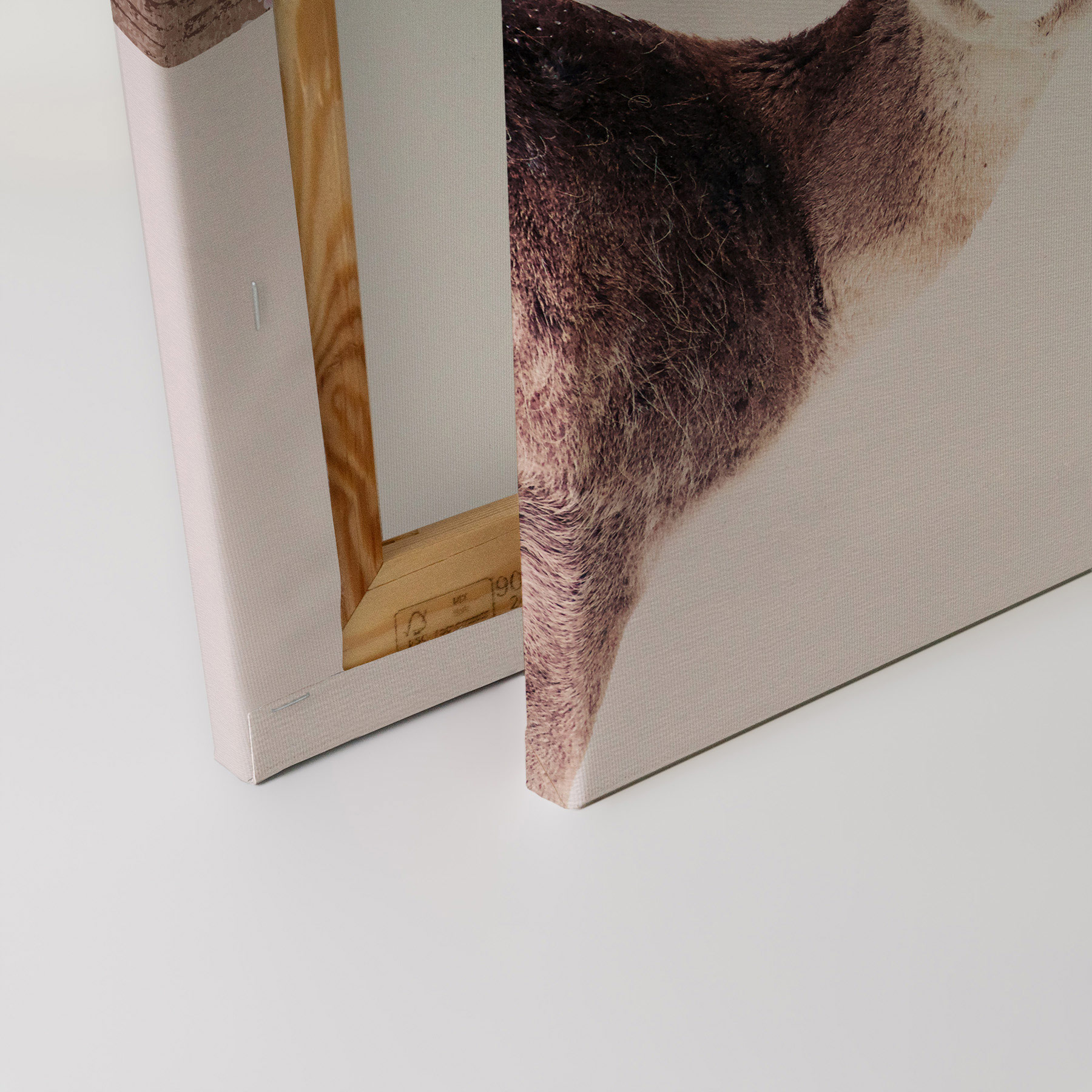 AS Leinwandbild Deer Rose DD132258