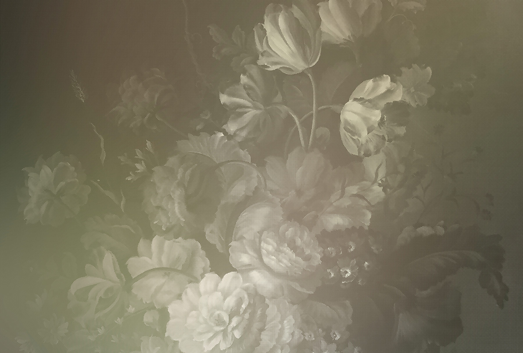 AS Fototapete Walls by Patel 2 Blumen DD114192