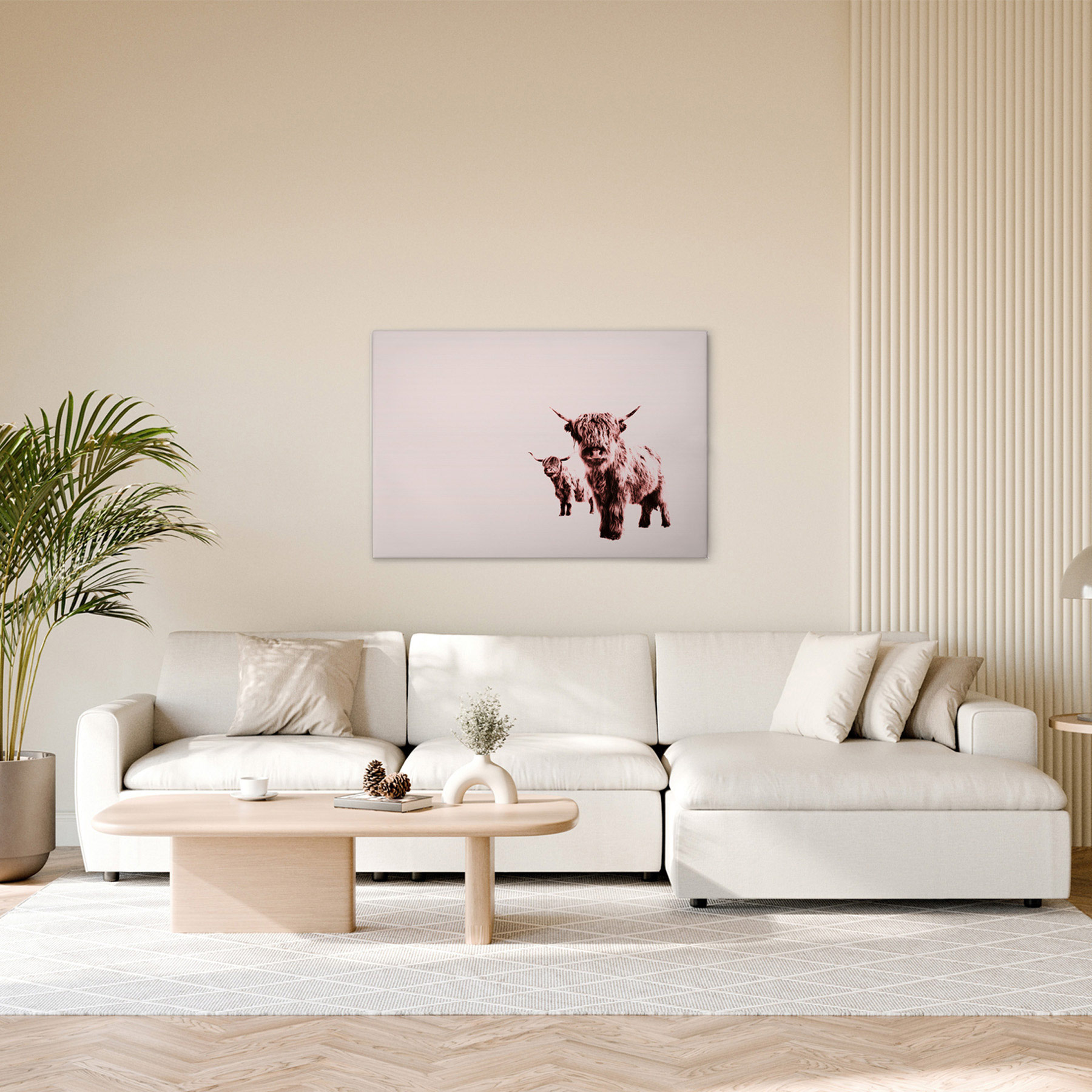 AS Leinwandbild Highland Cows DD132243