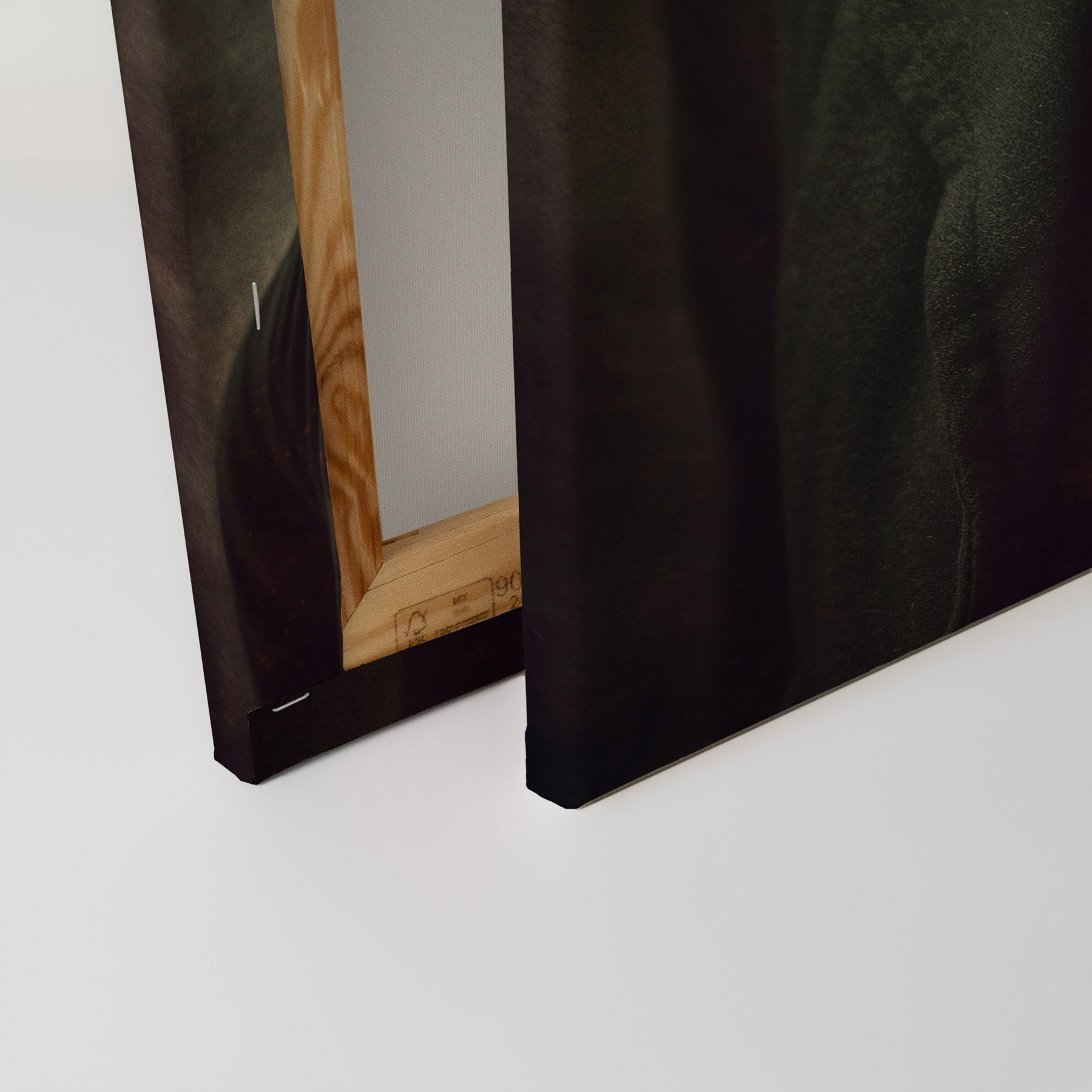 AS Leinwandbild Mr.Pig DD133360