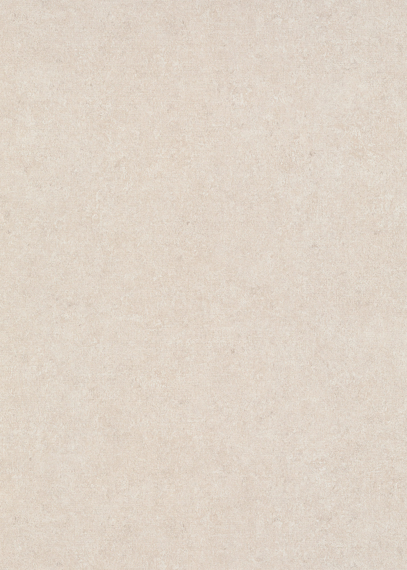 Erismann Vliestapete Gentle 1043002