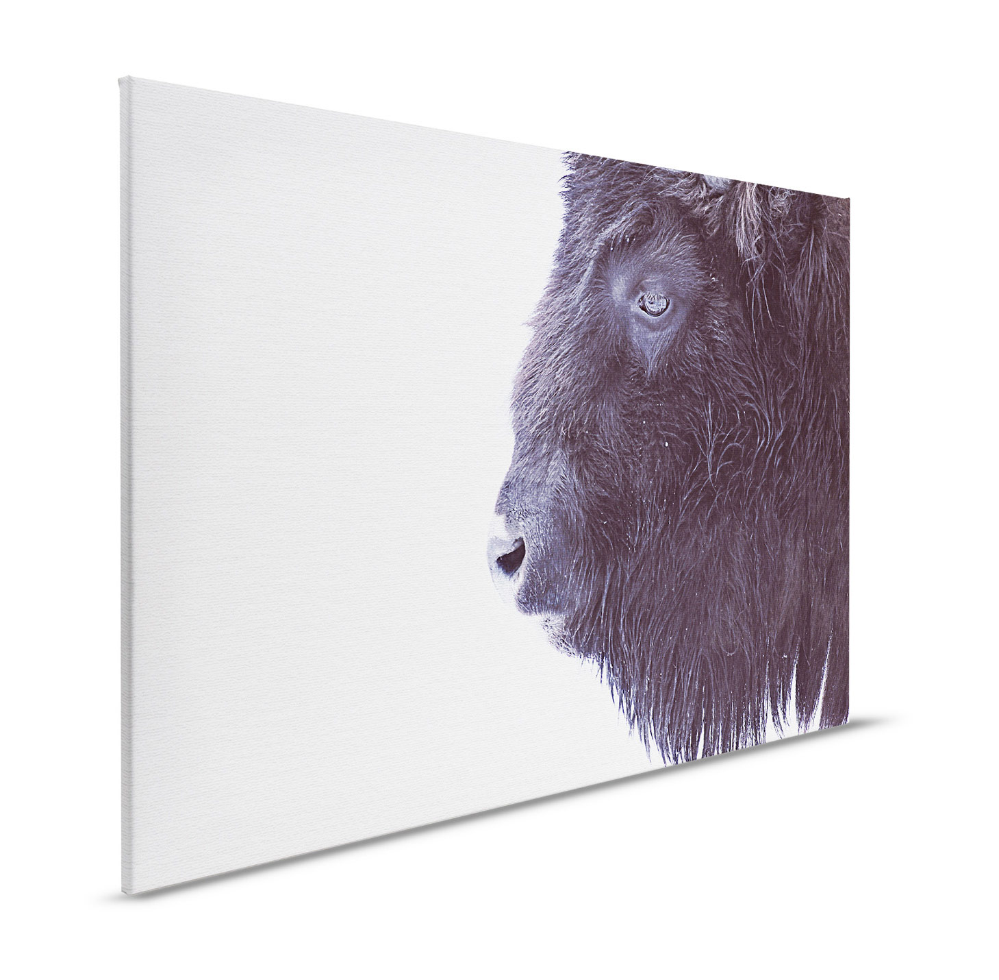 AS Leinwandbild Black Buffalo DD132183