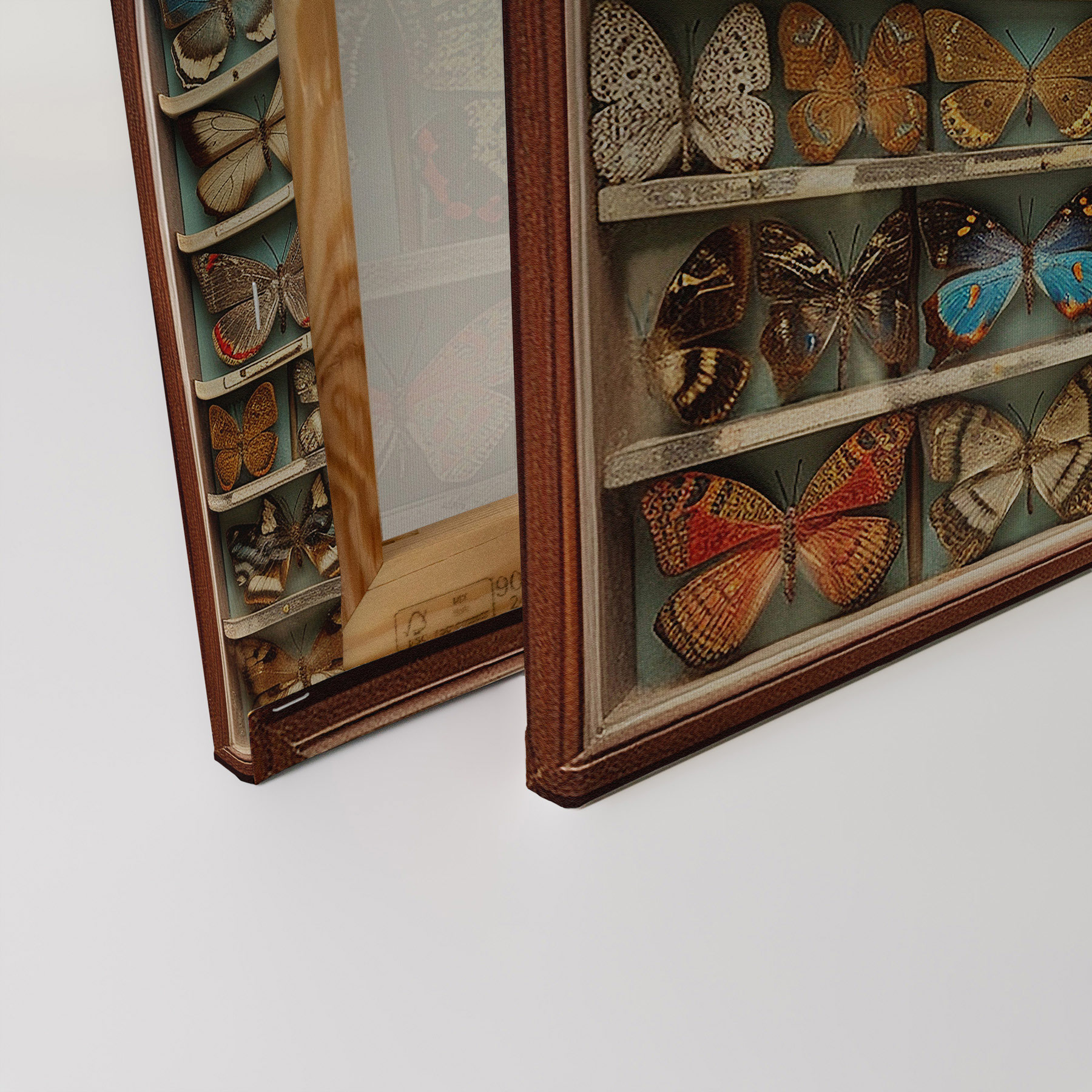 AS Leinwandbild Butterfly Box DD133270