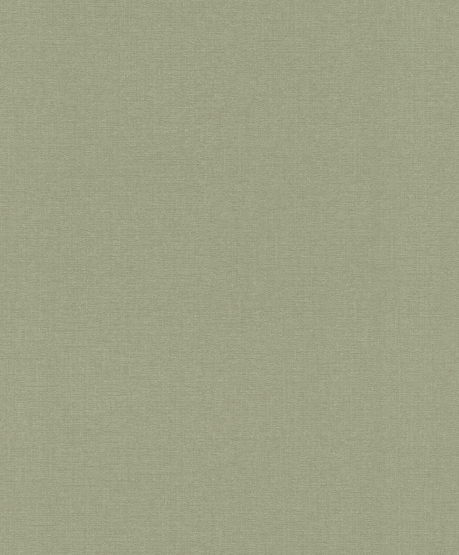 Emil & Hugo Vliestapete Bloomsbury 302256