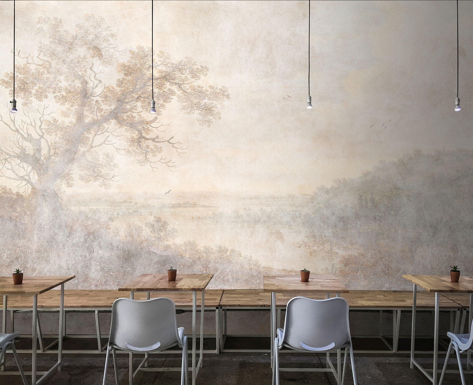 AS Fototapete Walls by Patel 3 Wald DD121972