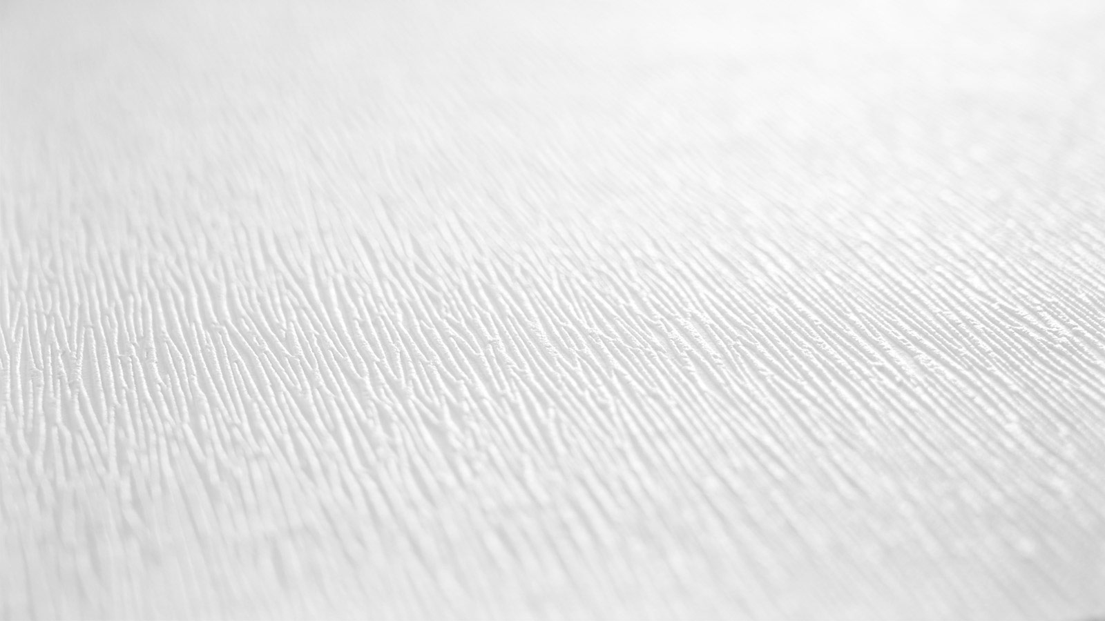 AS Vliestapete Meistervlies 8 überstreichbar 389711