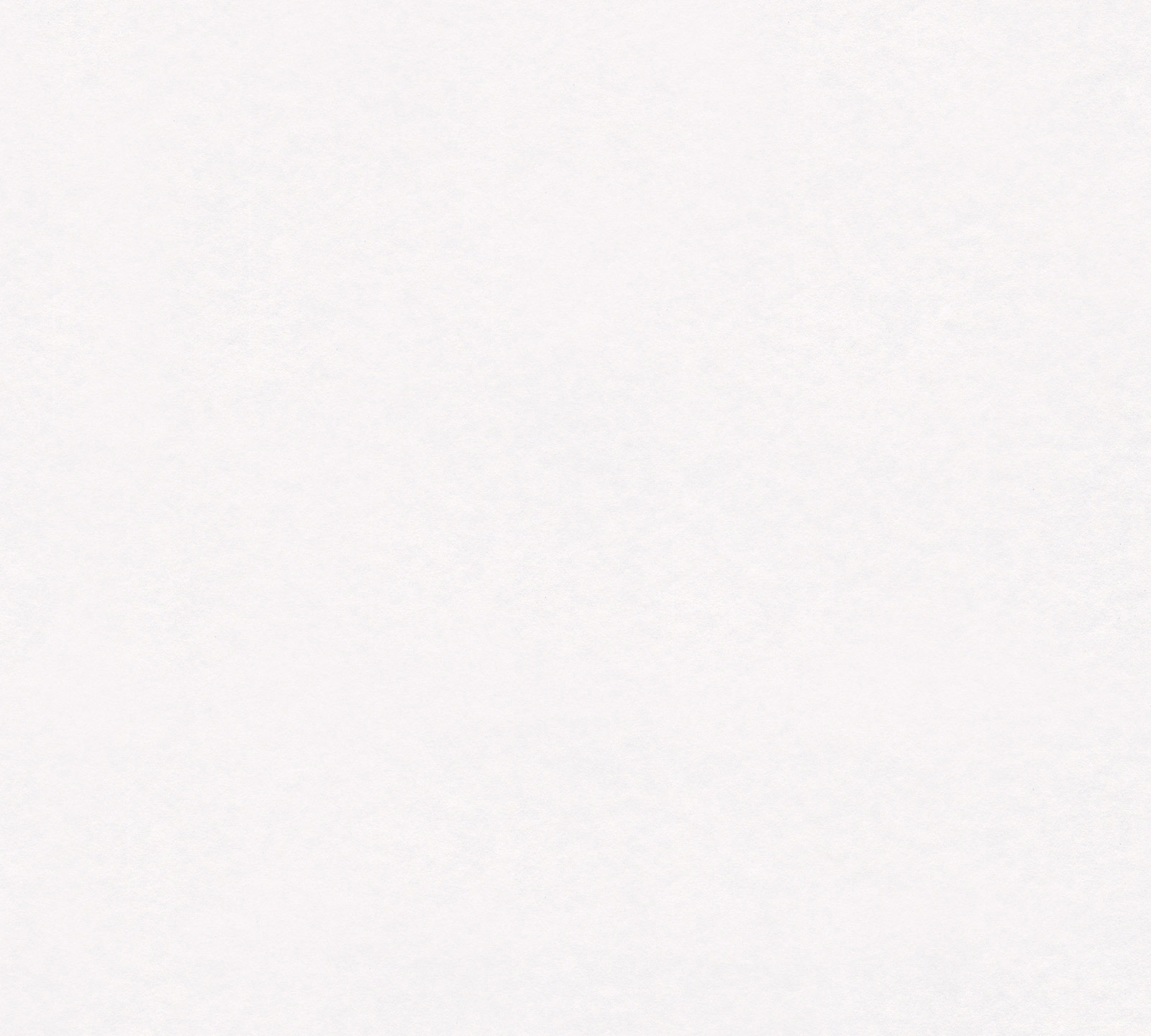 AS Glattvlies Meistervlies 8 überstreichbar 144010