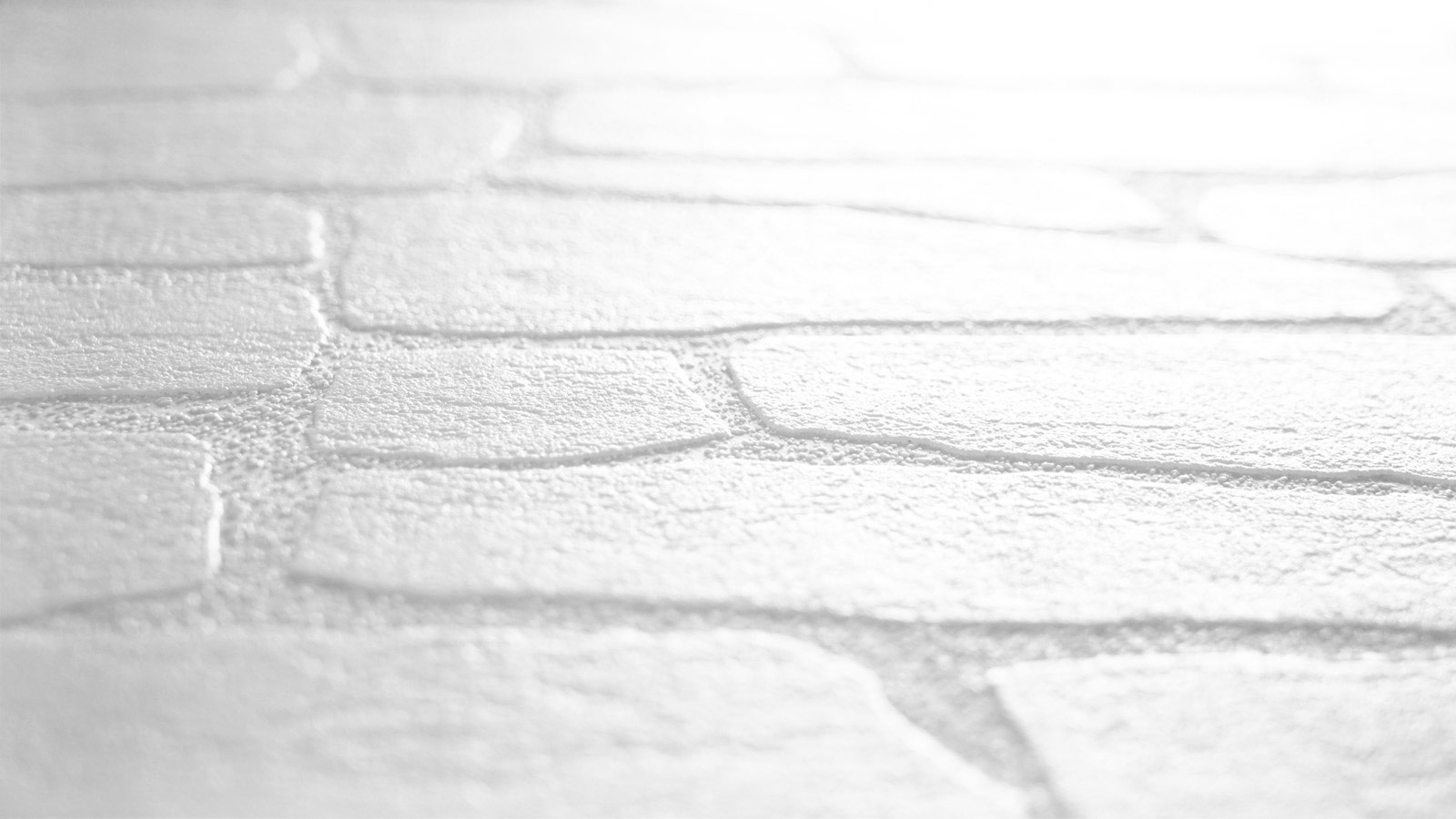 AS Vliestapete Meistervlies 8 überstreichbar 355416