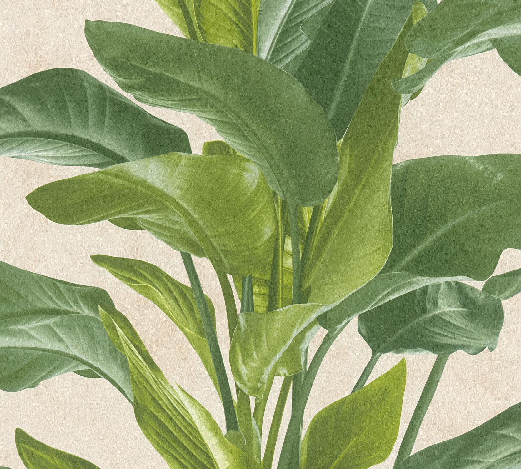 AS Vliestapete Metropolitan Stories 2 Florale Tapete 378623