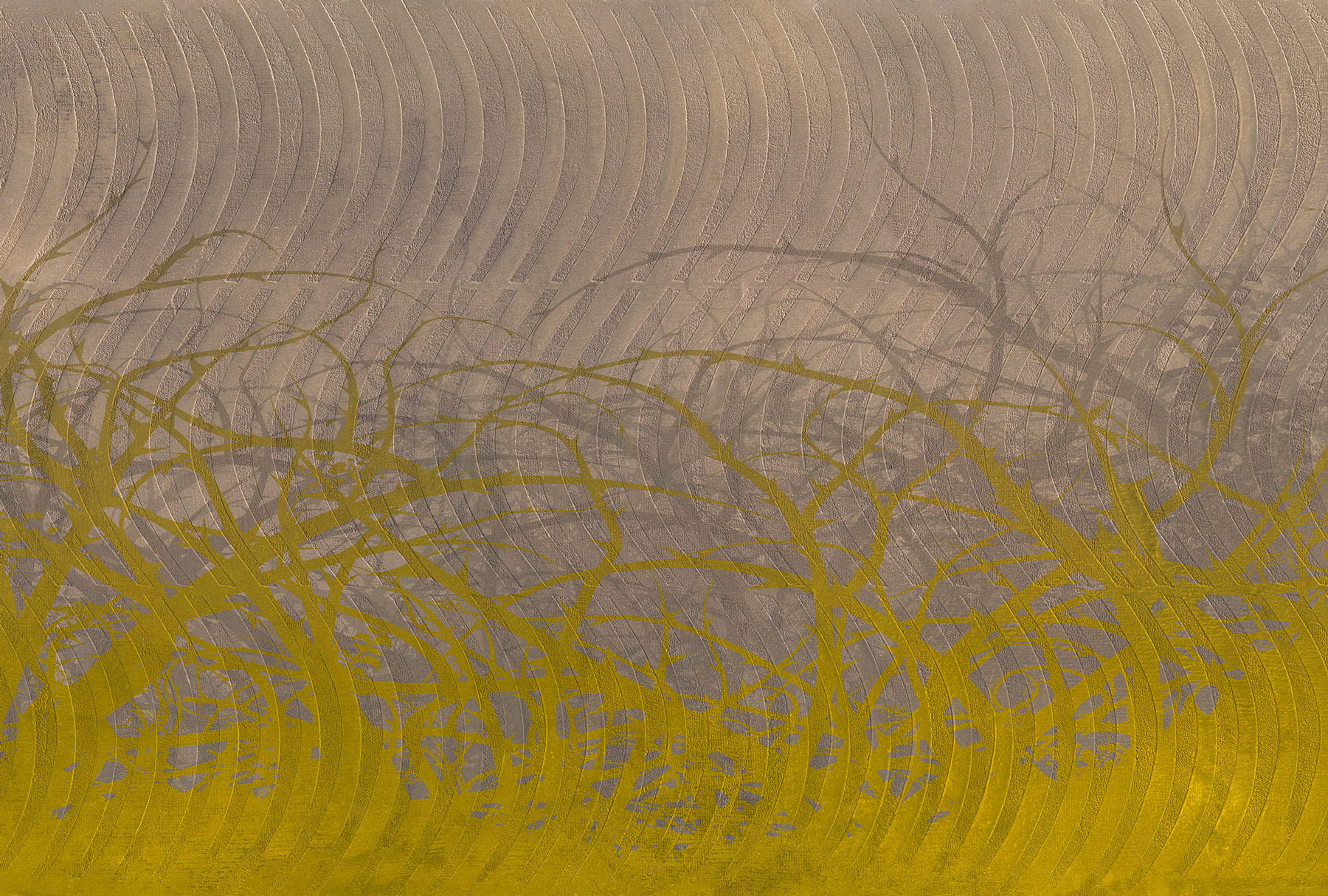 AS Fototapete Atelier 47 ThornHedge DD117925