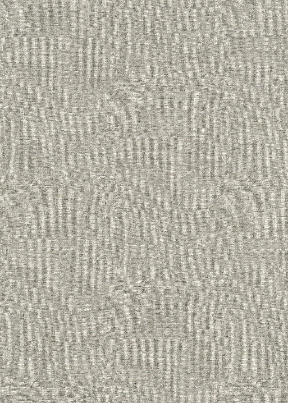 Erismann Vliestapete Secret Garden Unitapete 1051037