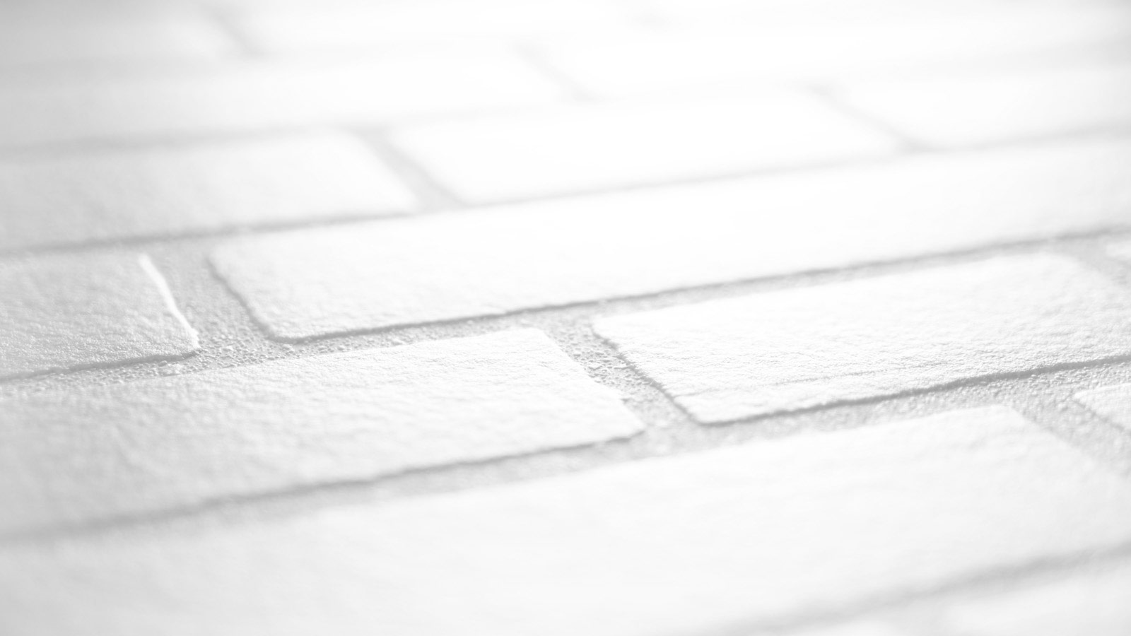 AS Vliestapete Meistervlies 8 überstreichbar 245311