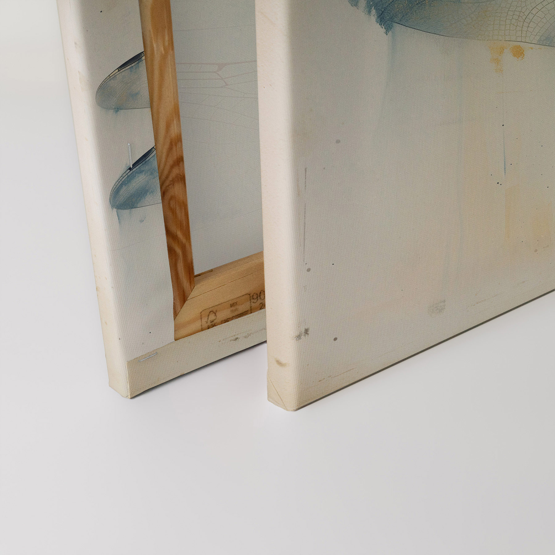 AS Leinwandbild Dragonfly DD132887