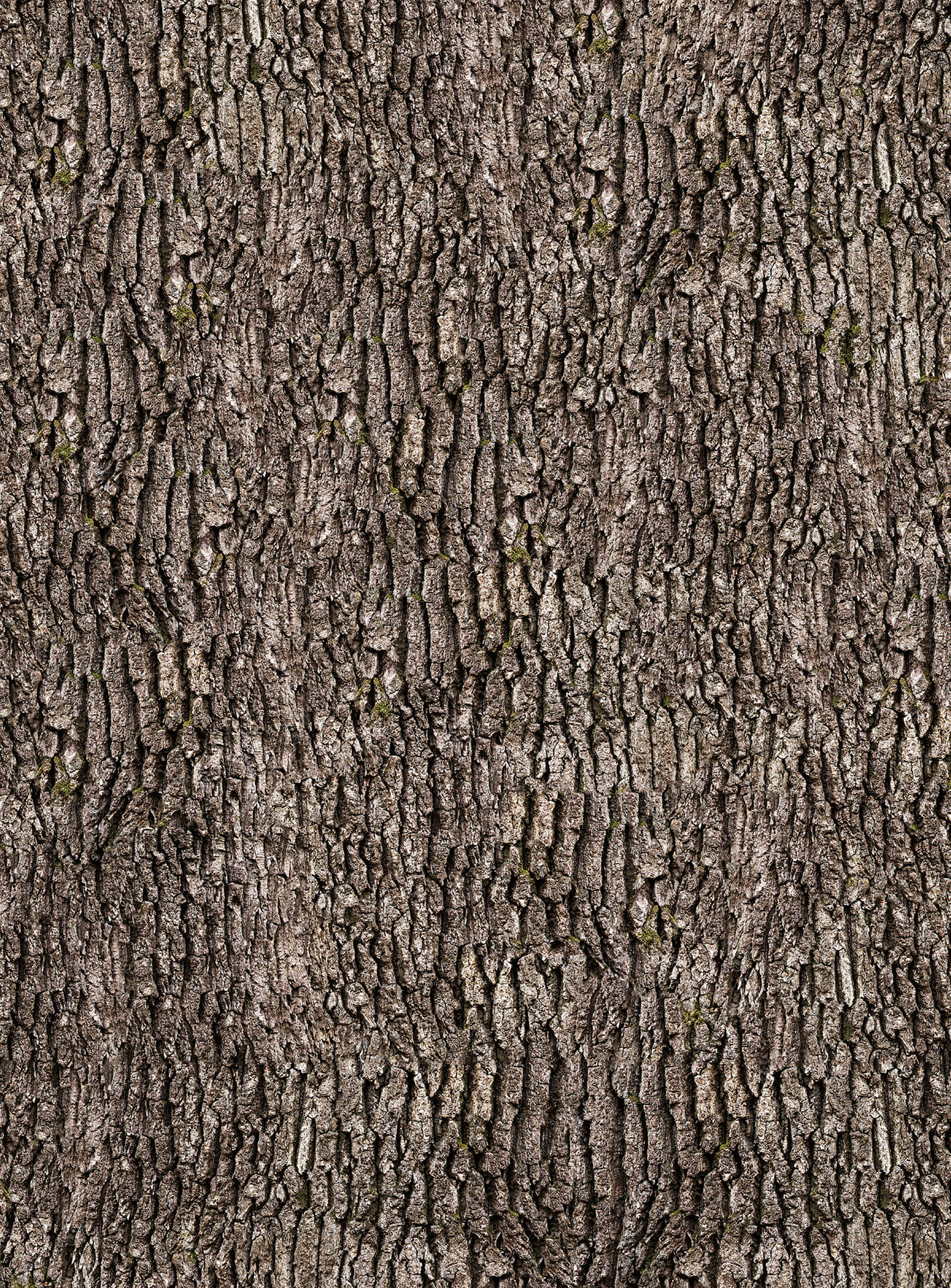 AS Fototapete Designwalls 2.0 Bark Wall DD119151
