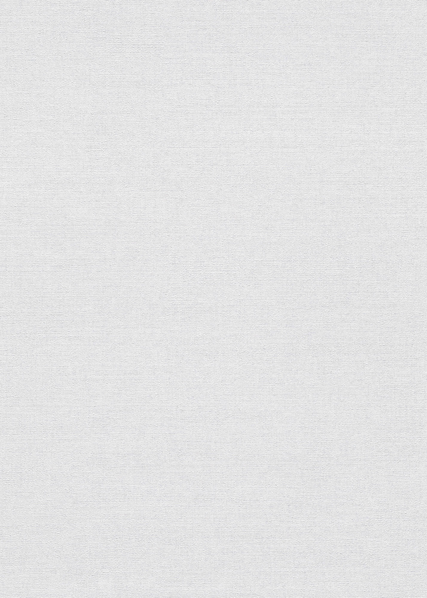 Erismann Vliestapete Forest Dreams grau 1056310