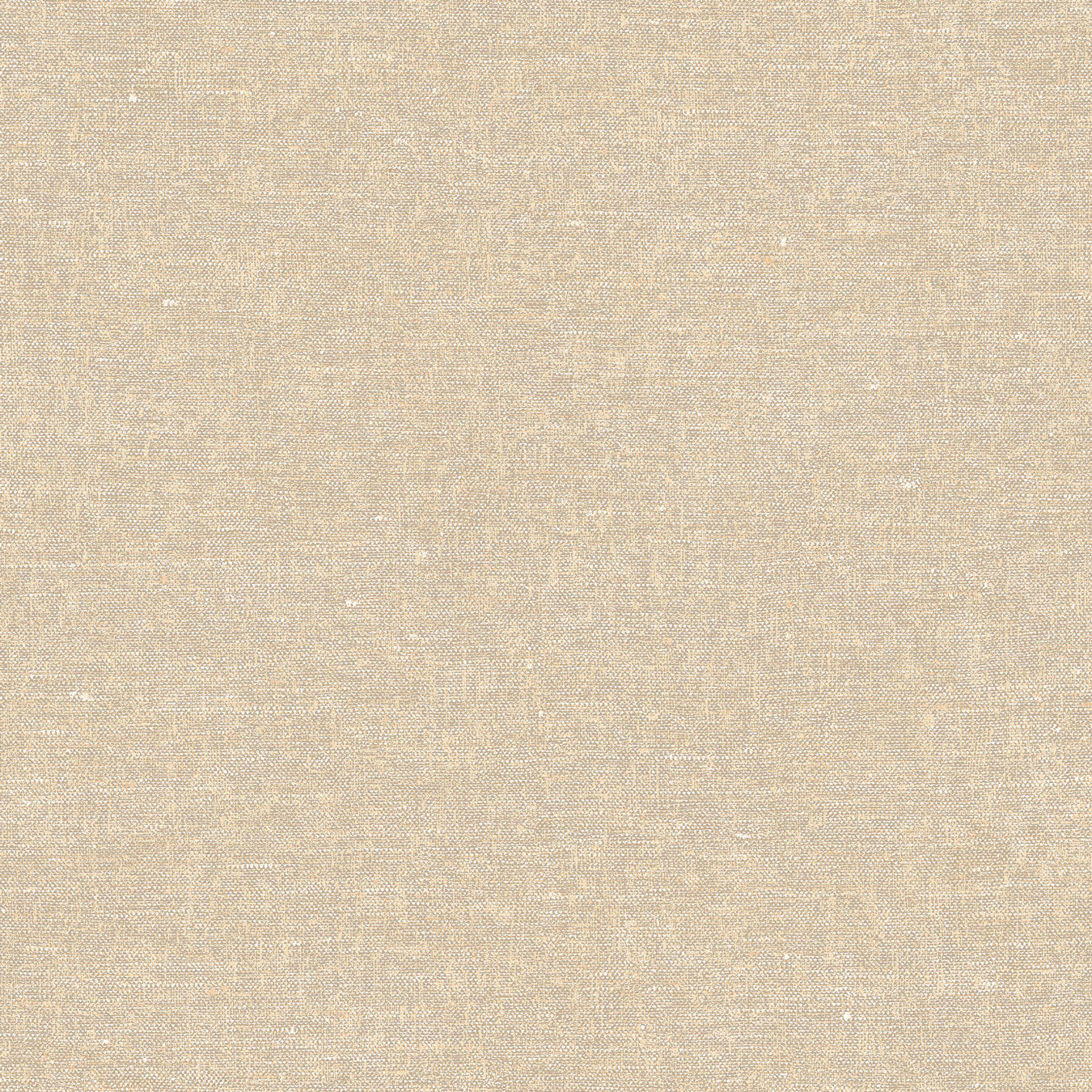 Decoprint Vliestapete Terra Nova Hemp Plain TN29002