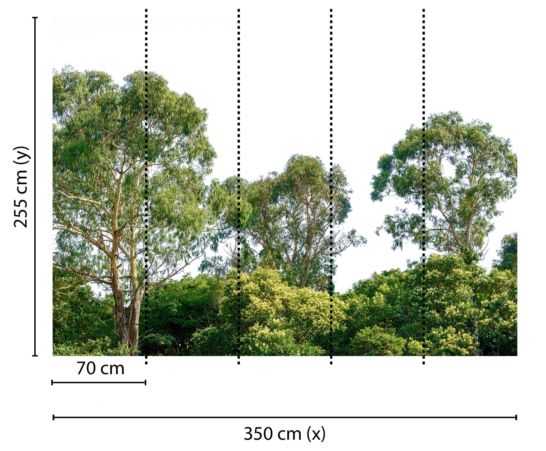 AS Fototapete Designwalls Treetop DD118797