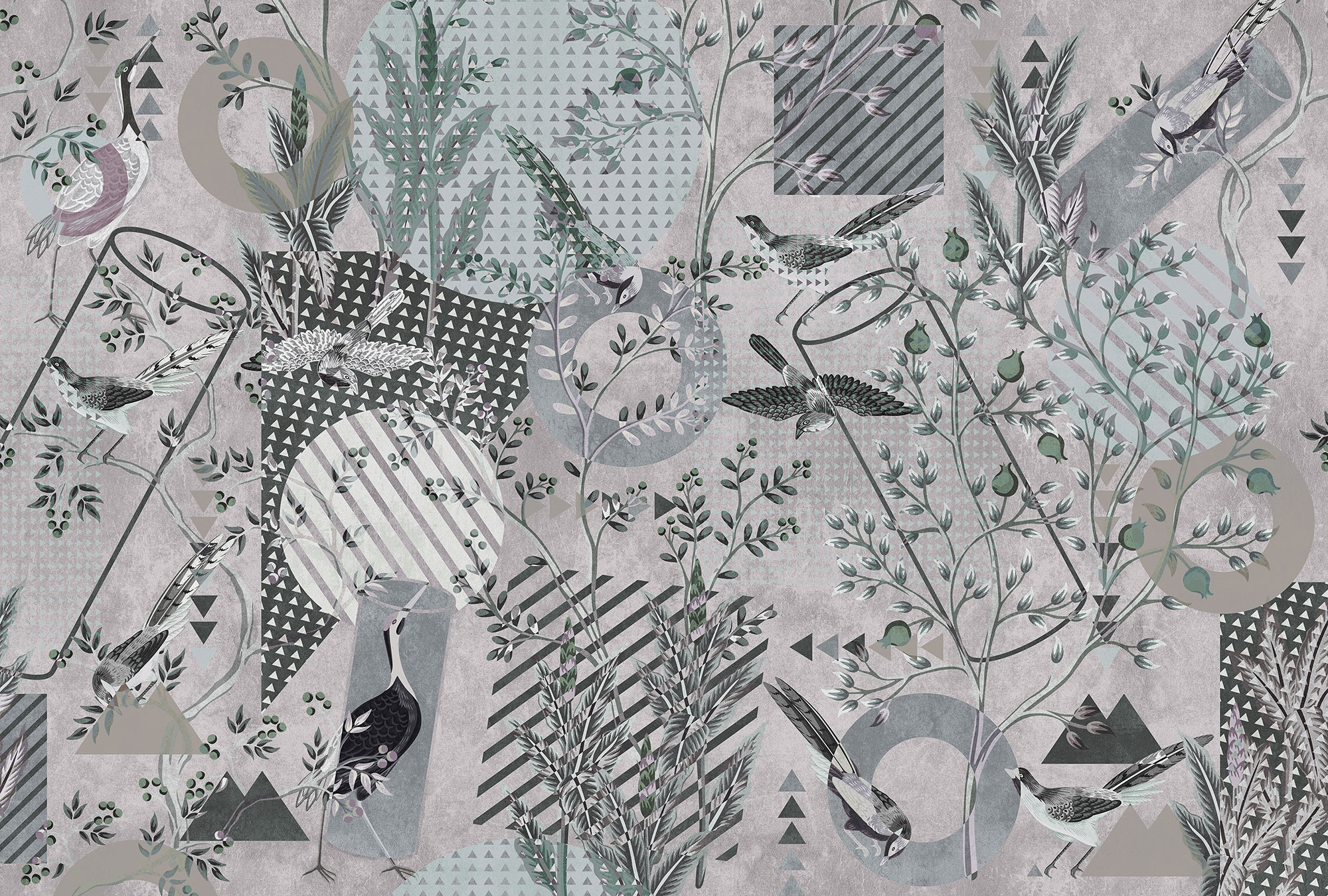 AS Fototapete Walls by Patel 3 Vögel DD121852