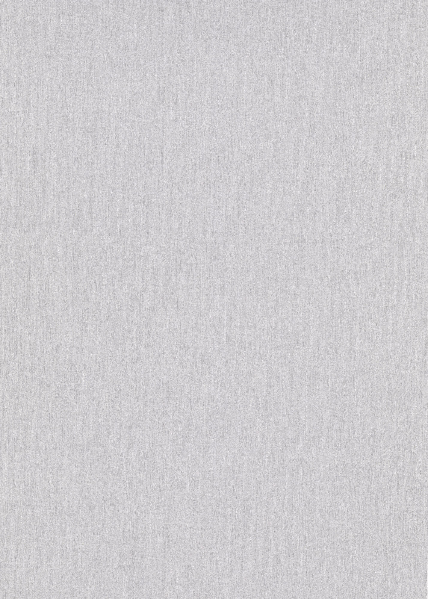 Erismann Vliestapete Spotlight 2 grau 1043731