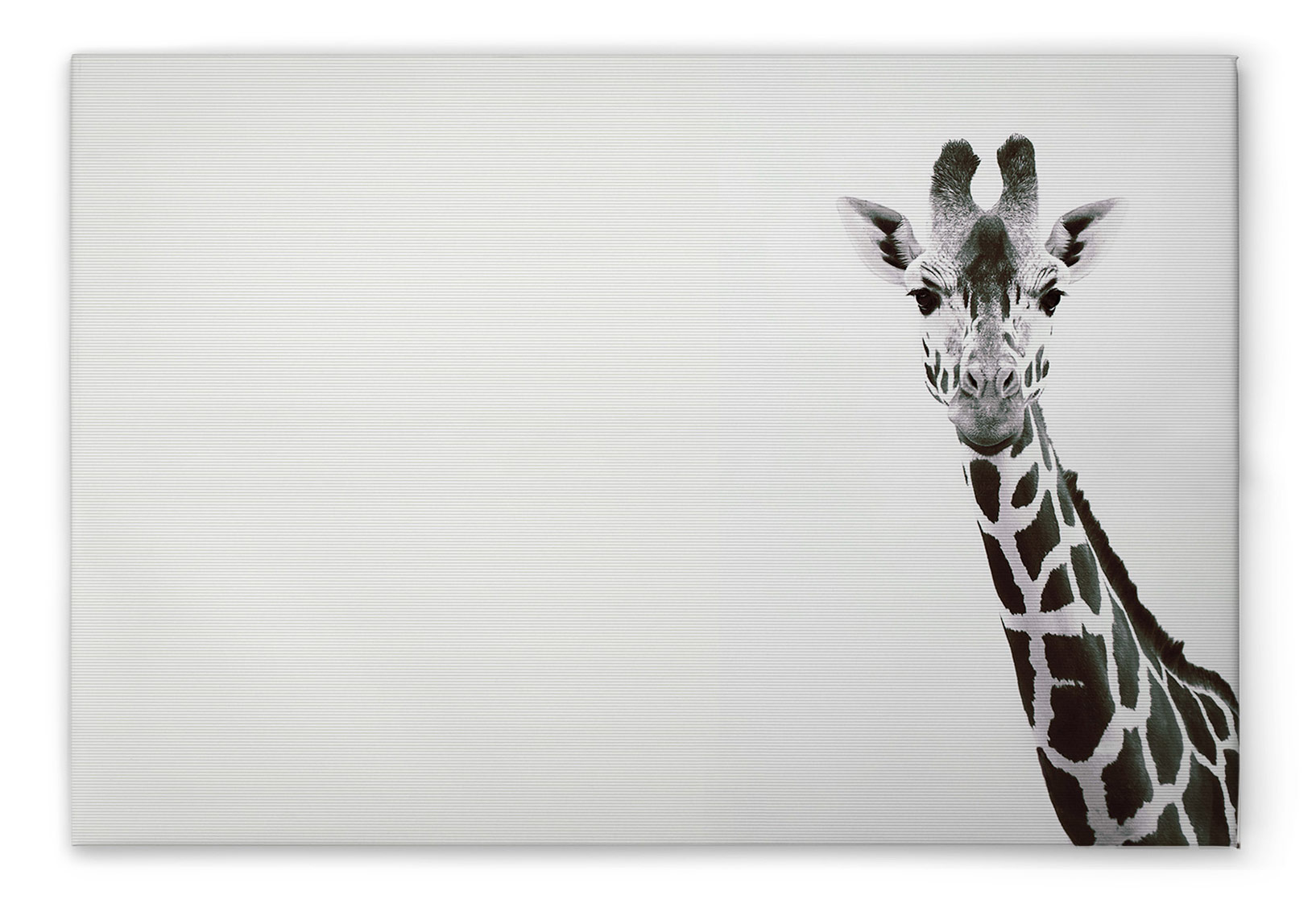 AS Leinwandbild Giraffe Portrait DD132228