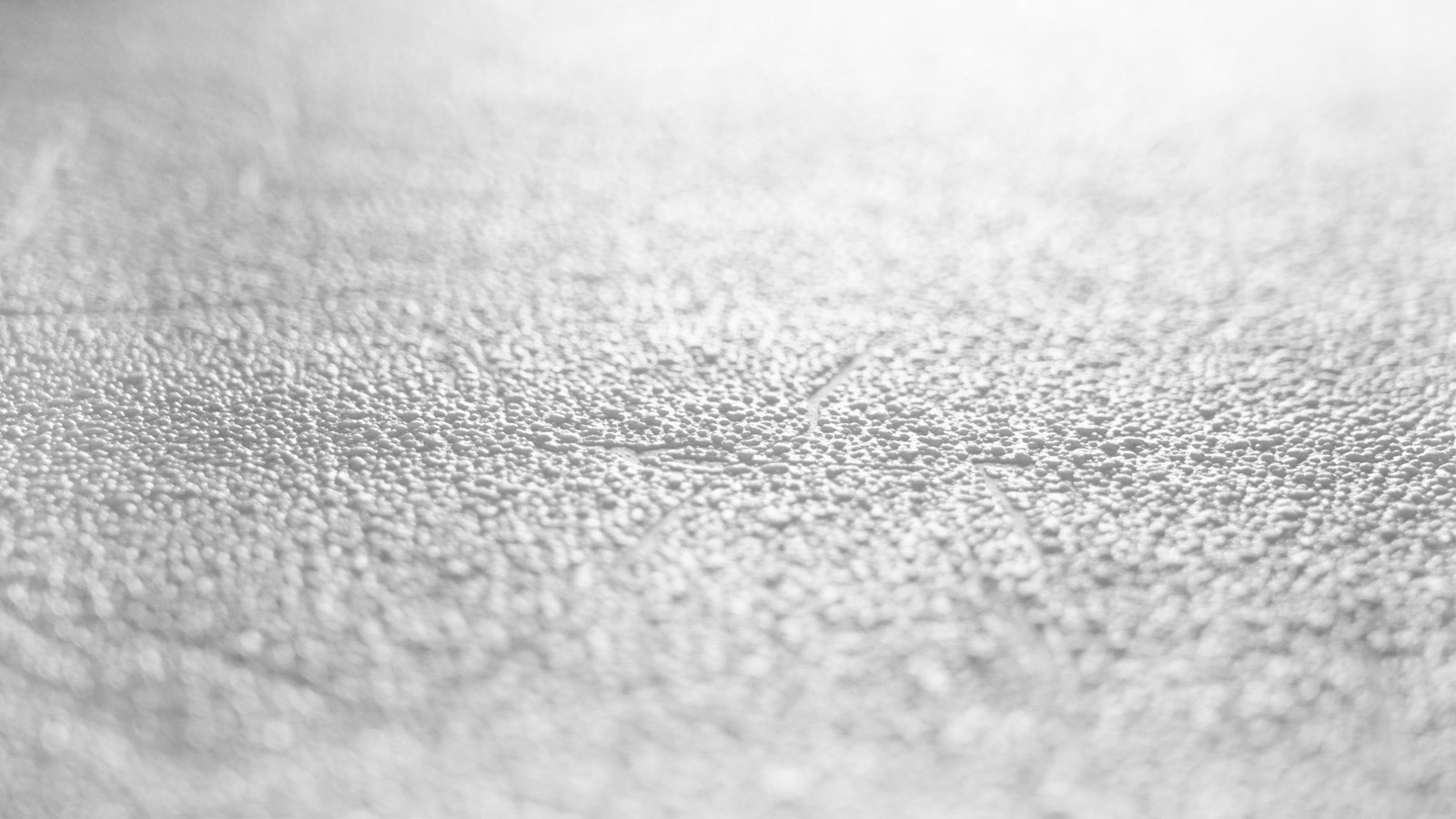 AS Vliestapete Meistervlies 8 überstreichbar 587114