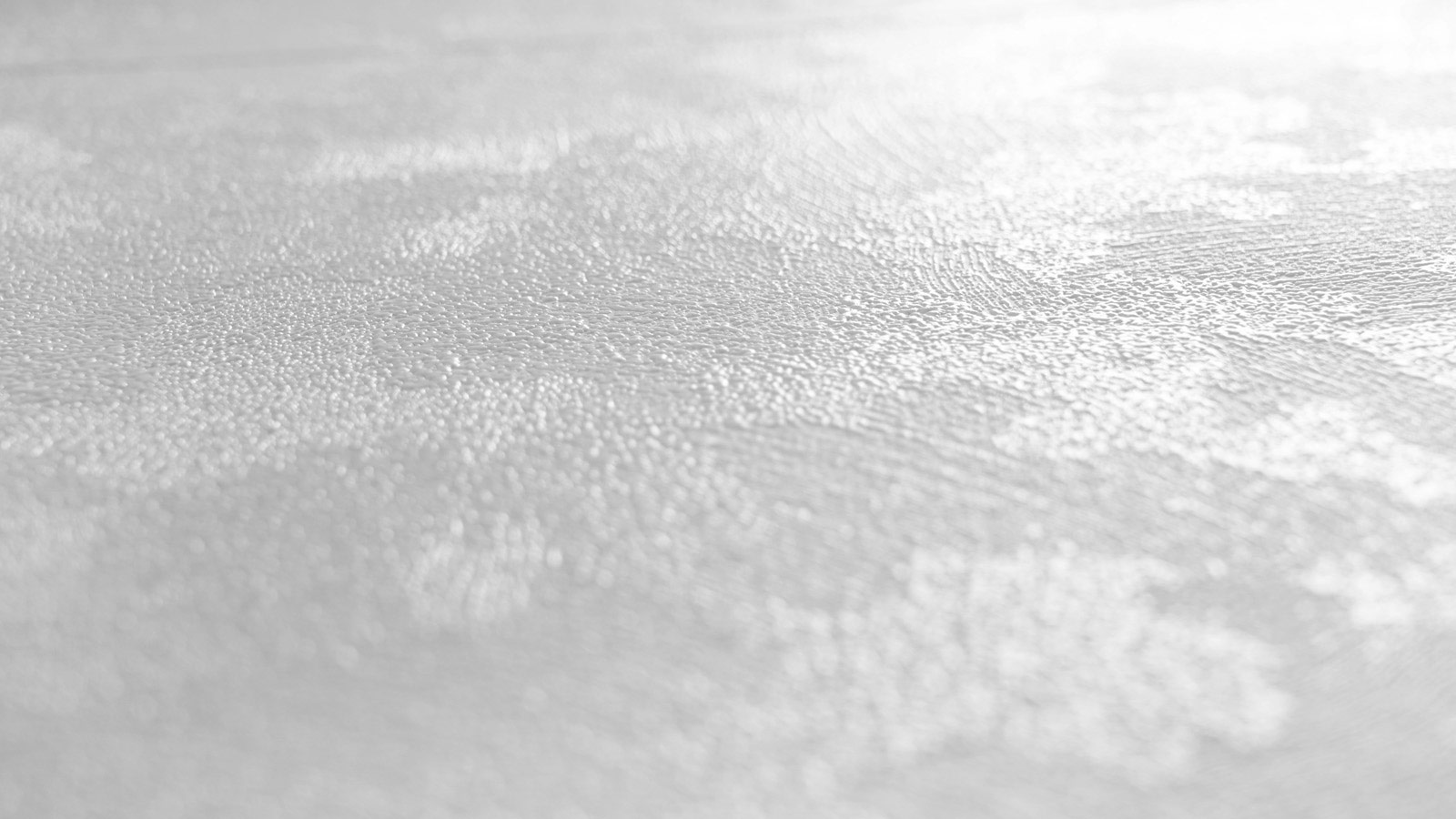 AS Vliestapete Meistervlies 8 überstreichbar 573414