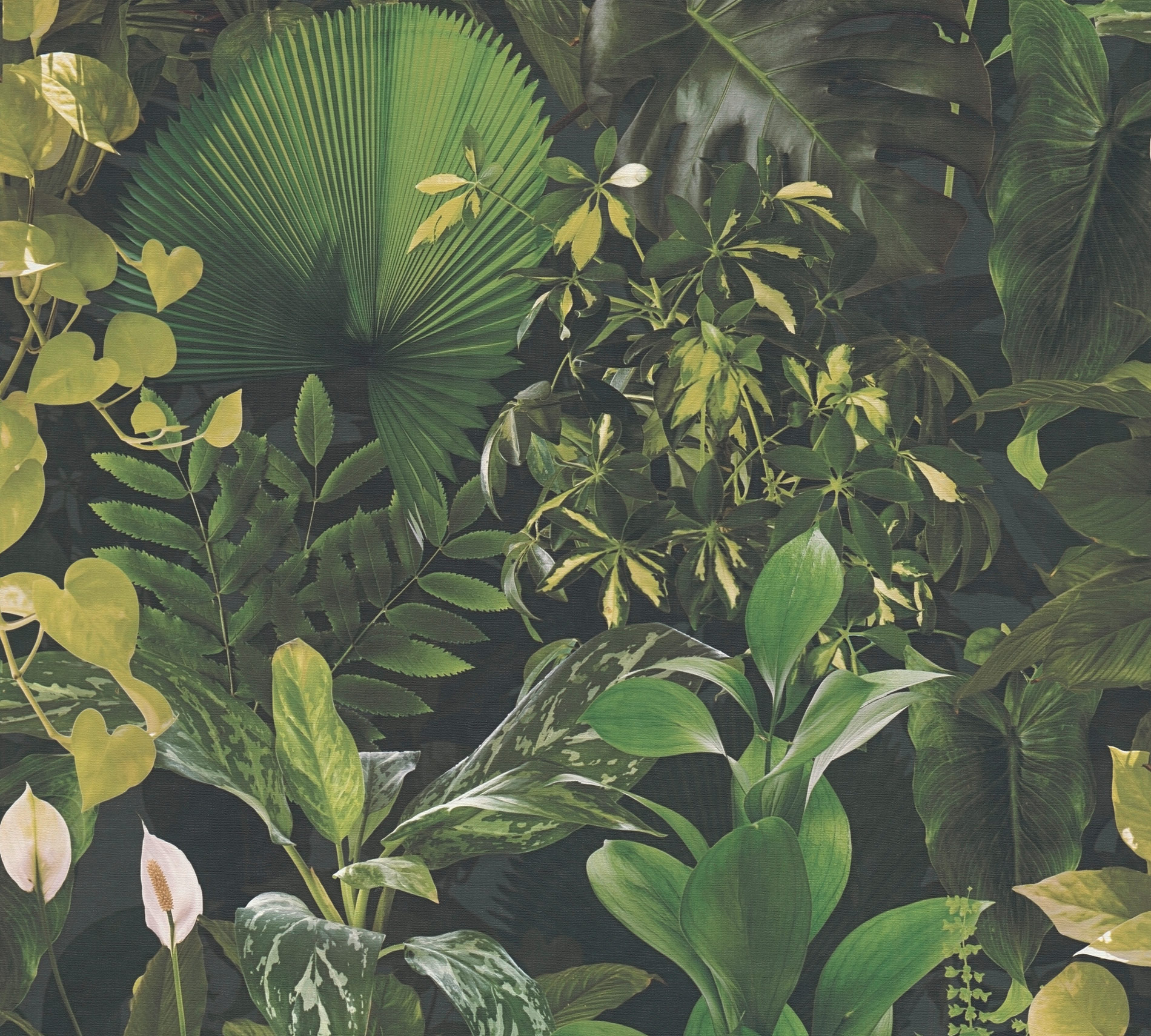 AS Vliestapete PintWalls II Pflanzen Grün 396981