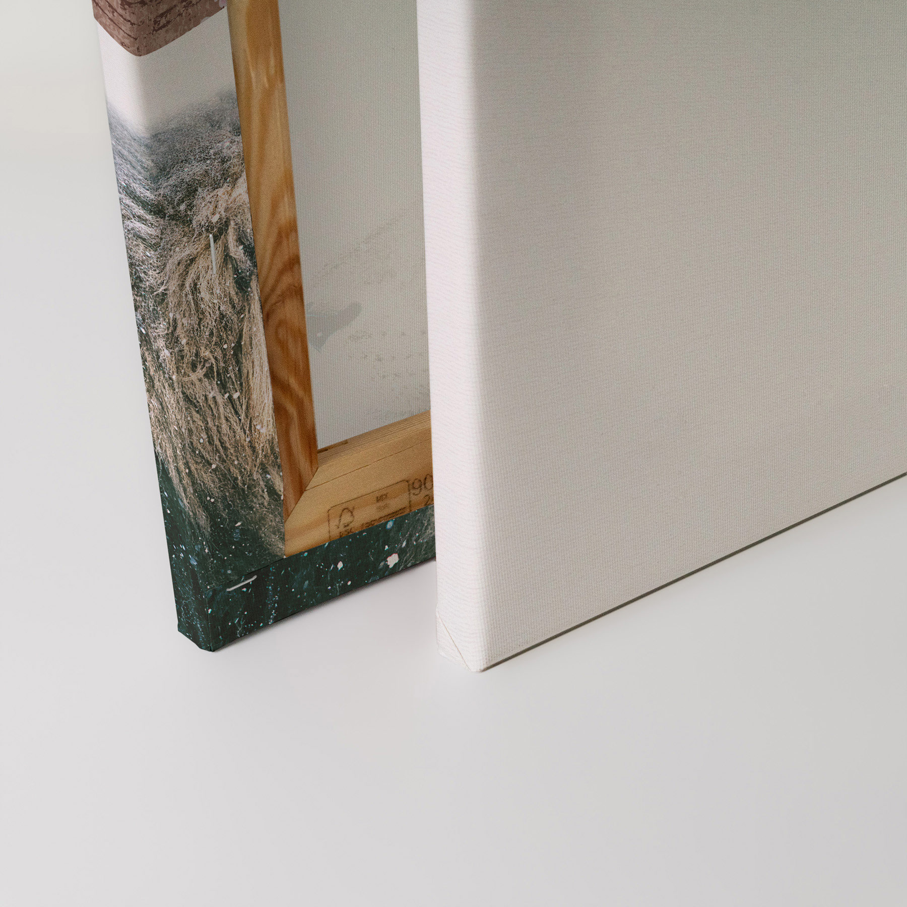 AS Leinwandbild Lion In Snow DD132193